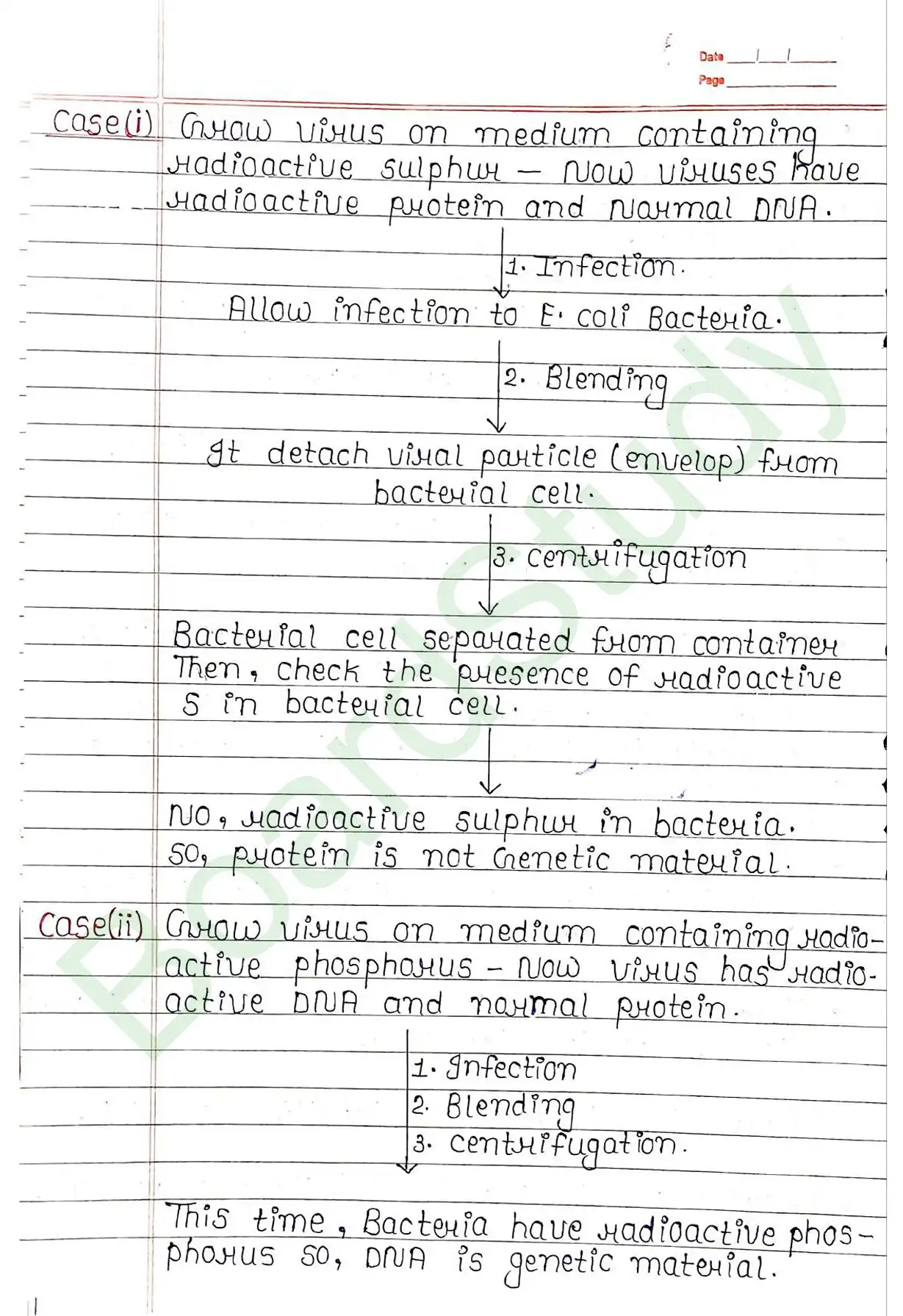 5. Molecular basis of inheritance_page-0014