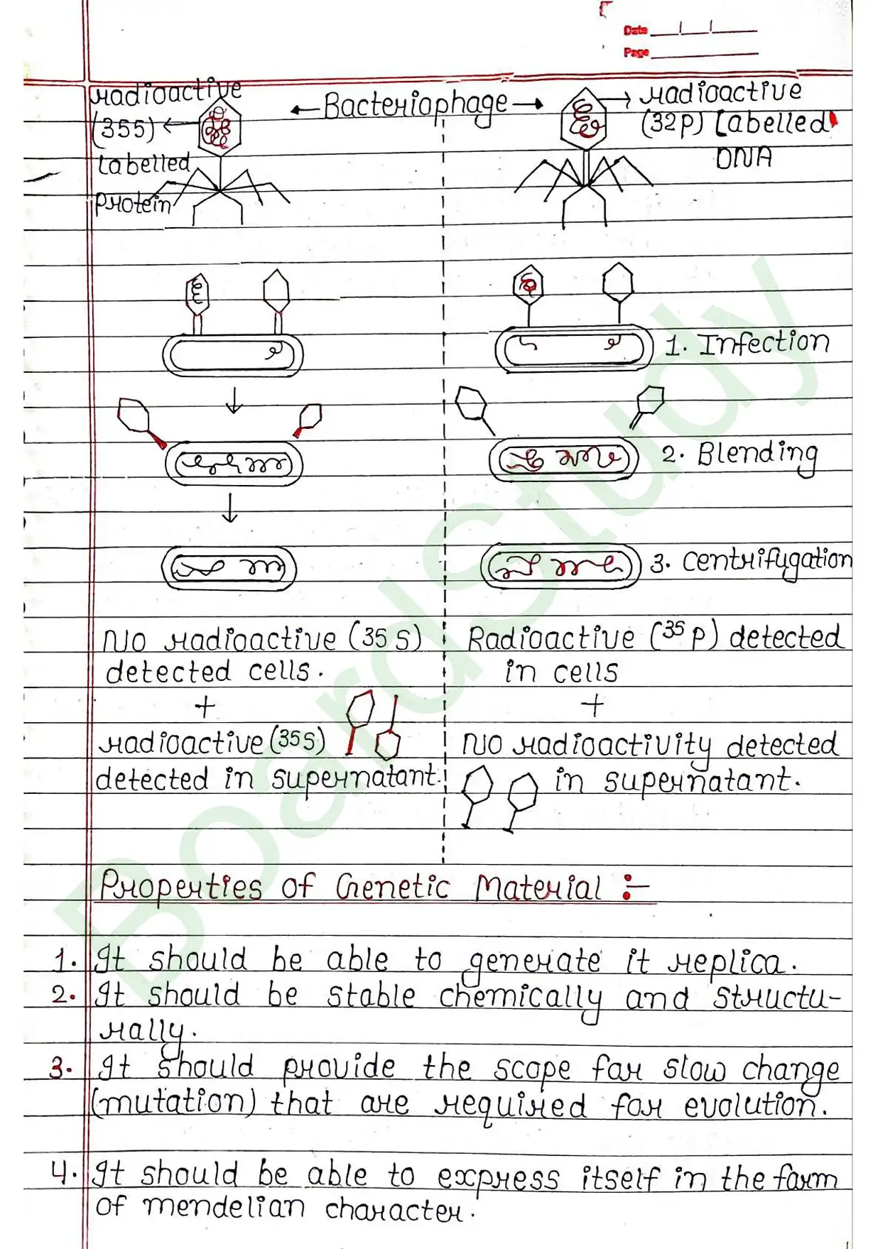 5. Molecular basis of inheritance_page-0015