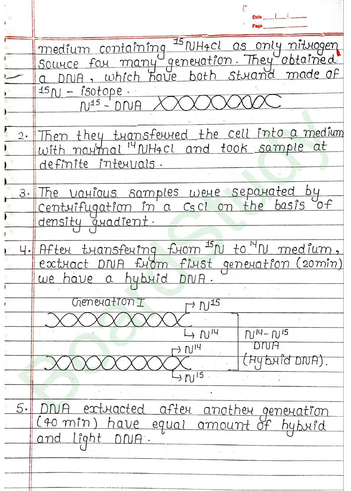 5. Molecular basis of inheritance_page-0019