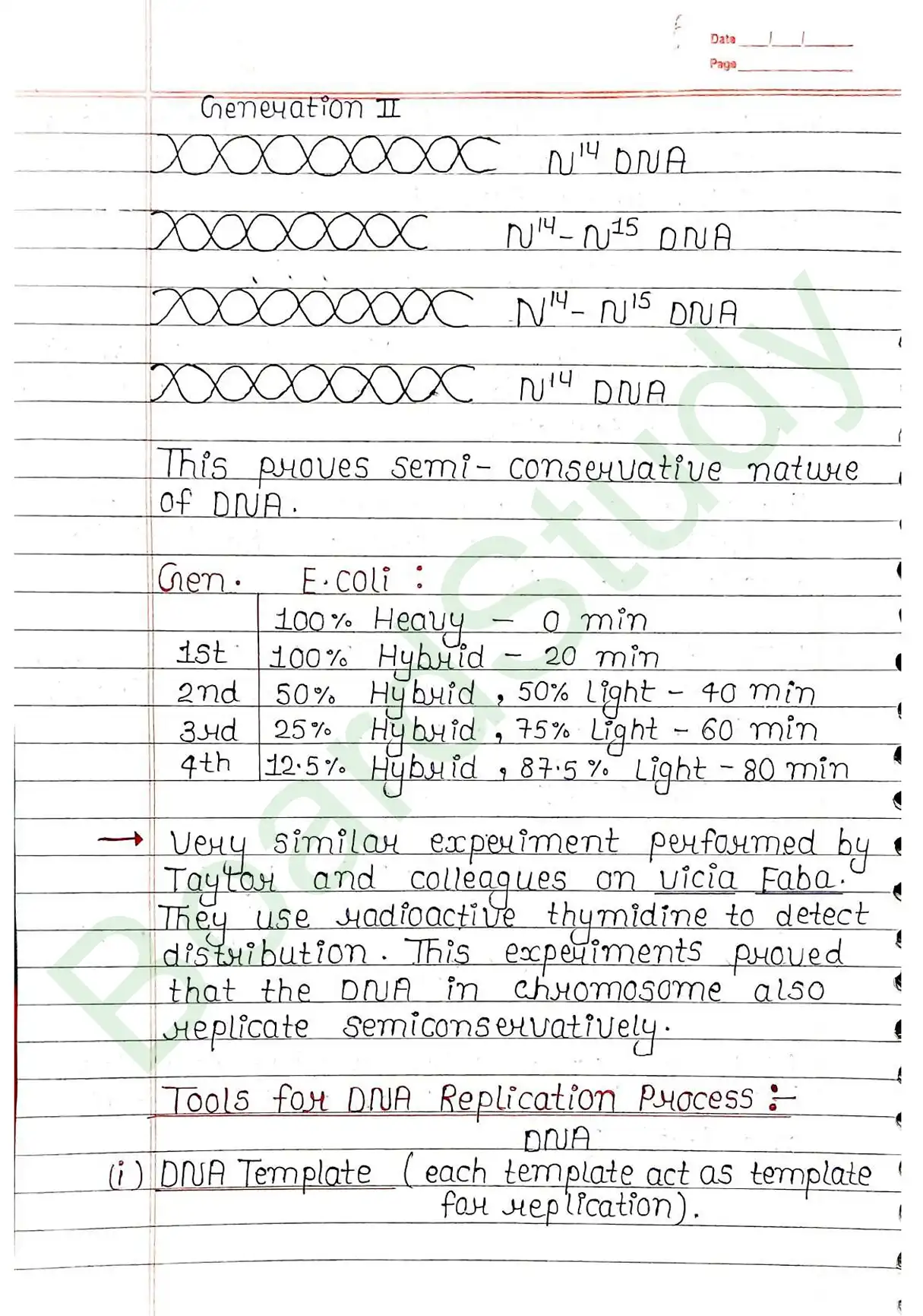5. Molecular basis of inheritance_page-0020