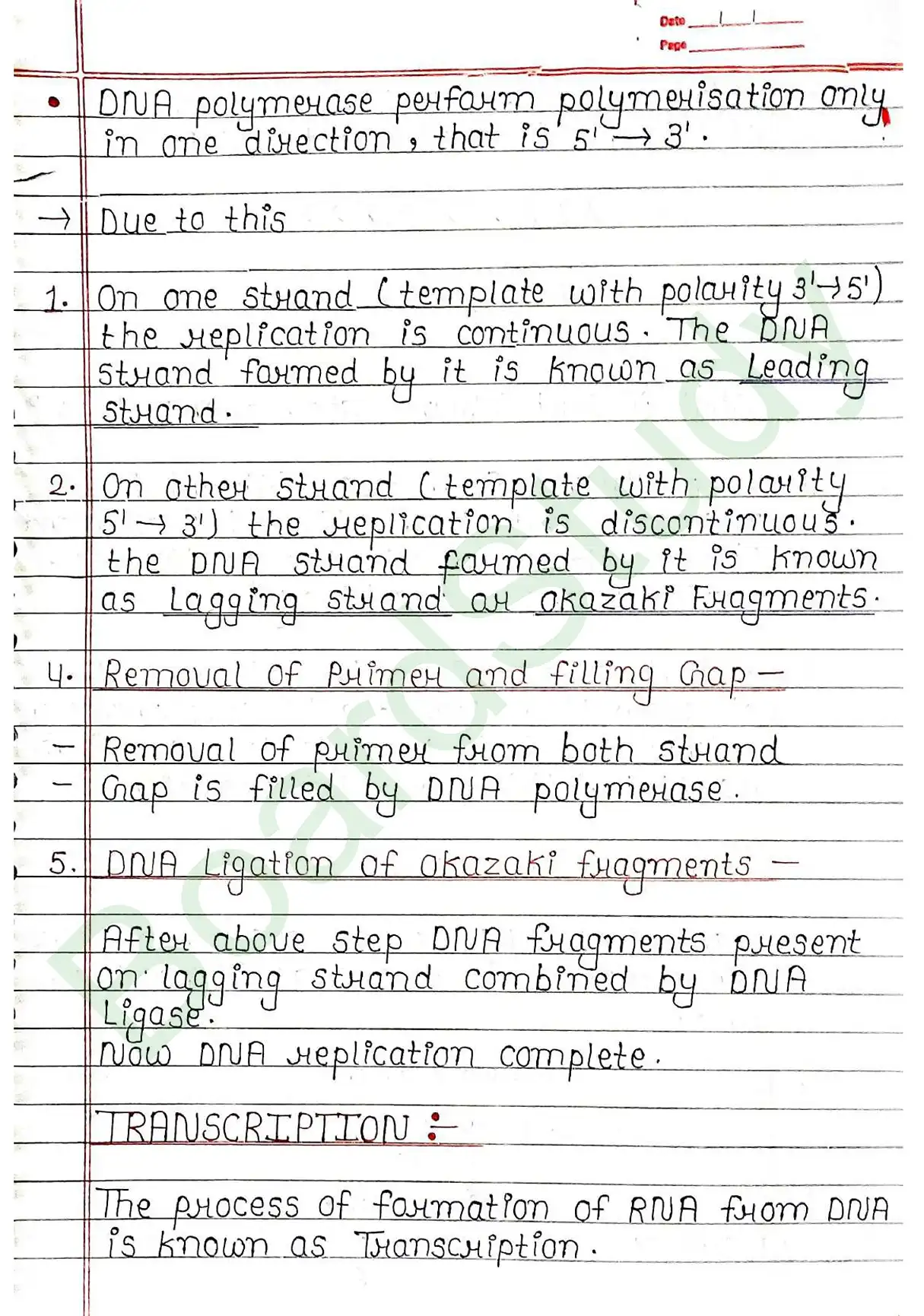 5. Molecular basis of inheritance_page-0023