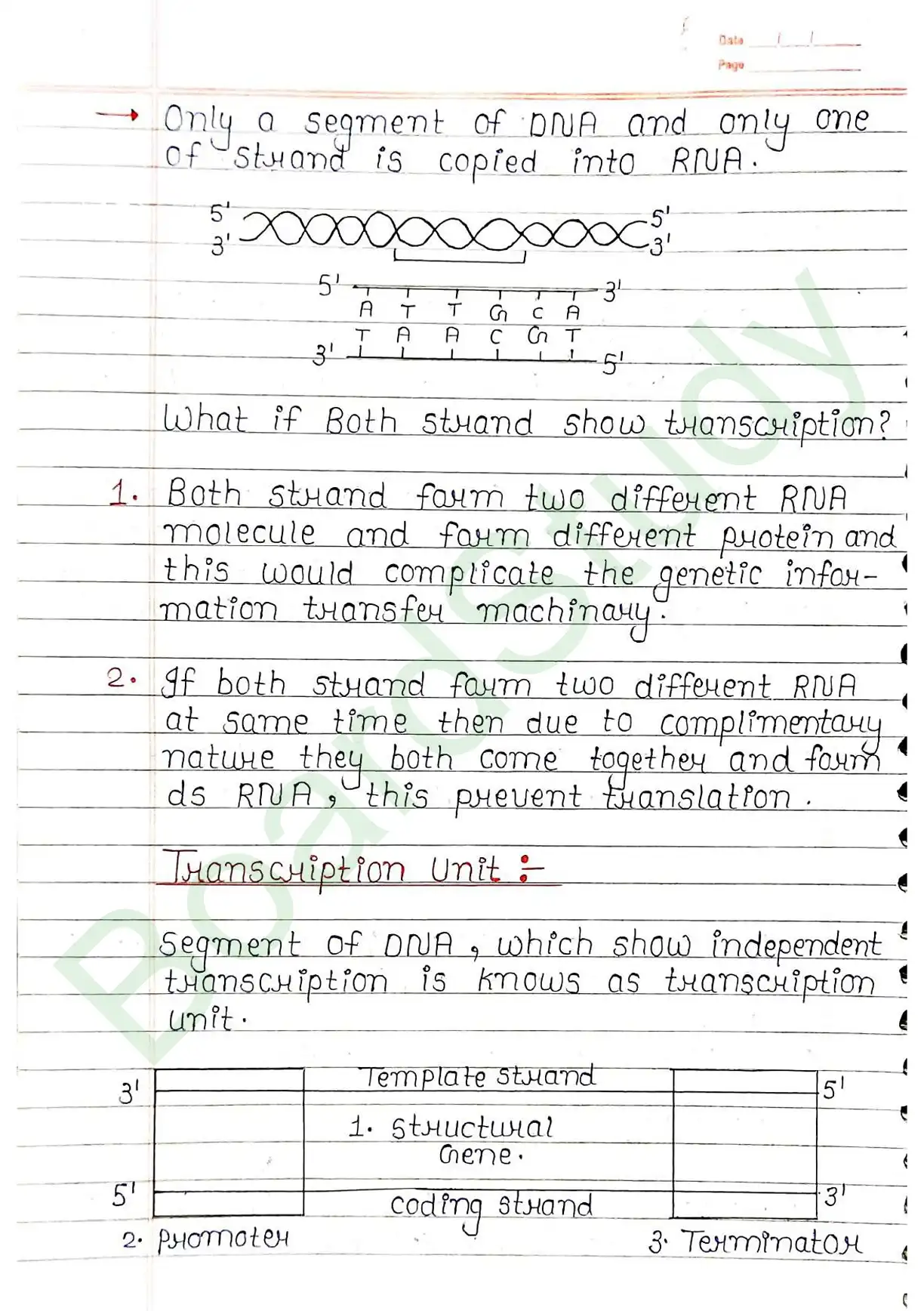5. Molecular basis of inheritance_page-0024