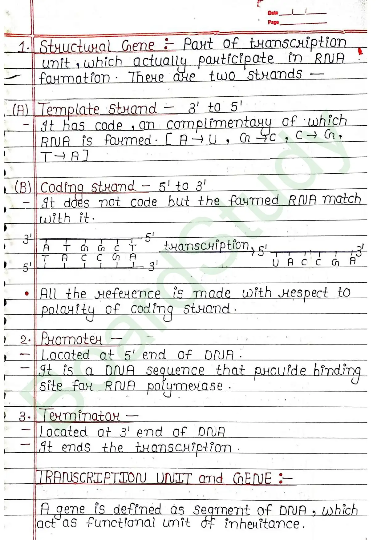 5. Molecular basis of inheritance_page-0025