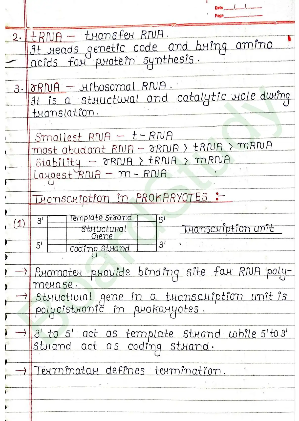 5. Molecular basis of inheritance_page-0027