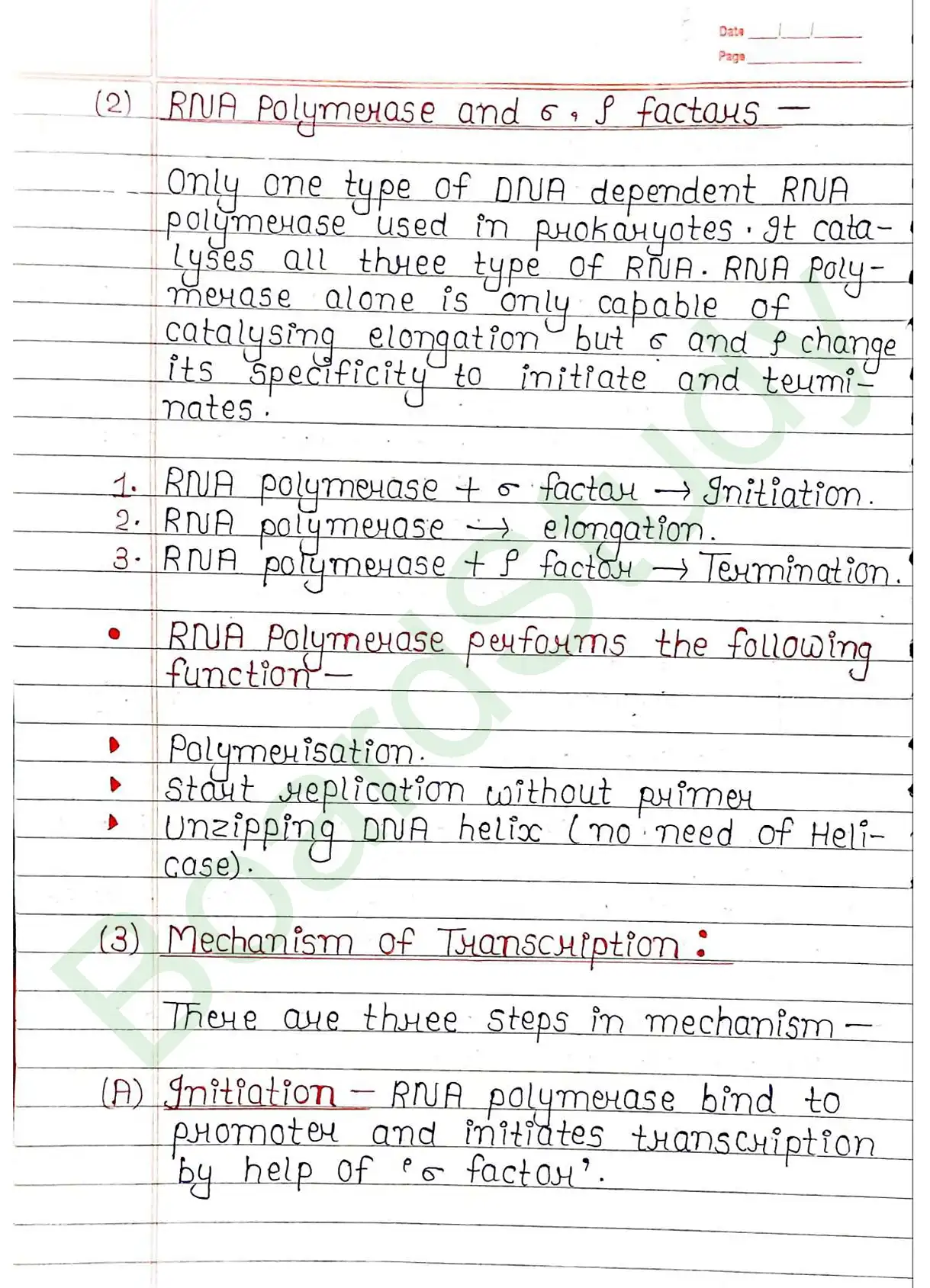 5. Molecular basis of inheritance_page-0028