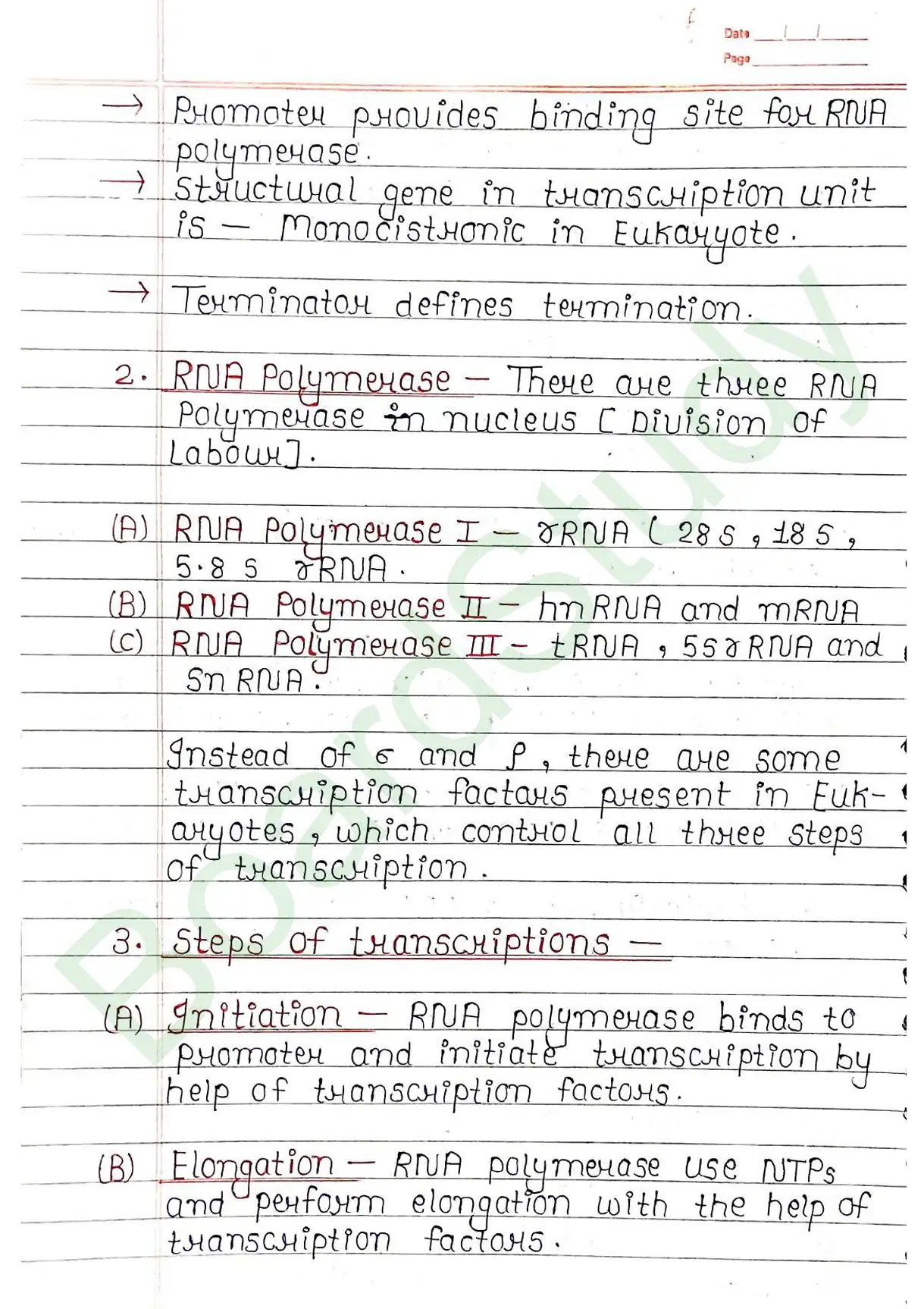 5. Molecular basis of inheritance_page-0030