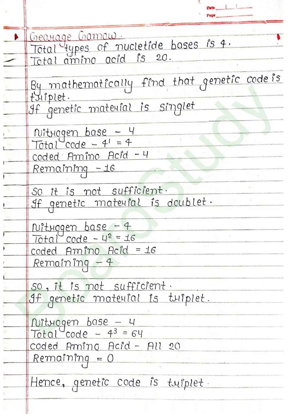 5. Molecular basis of inheritance_page-0033