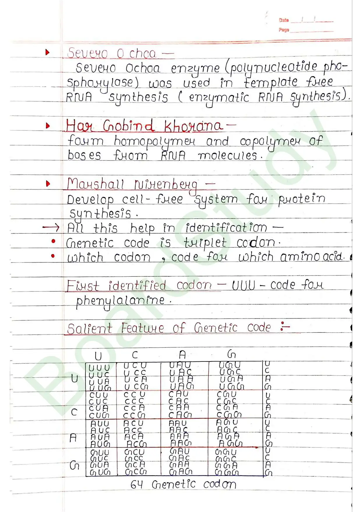5. Molecular basis of inheritance_page-0034