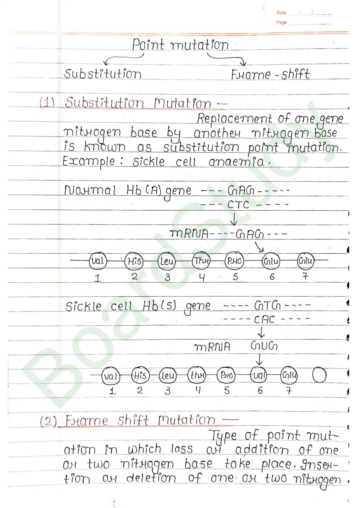 5. Molecular basis of inheritance_page-0036