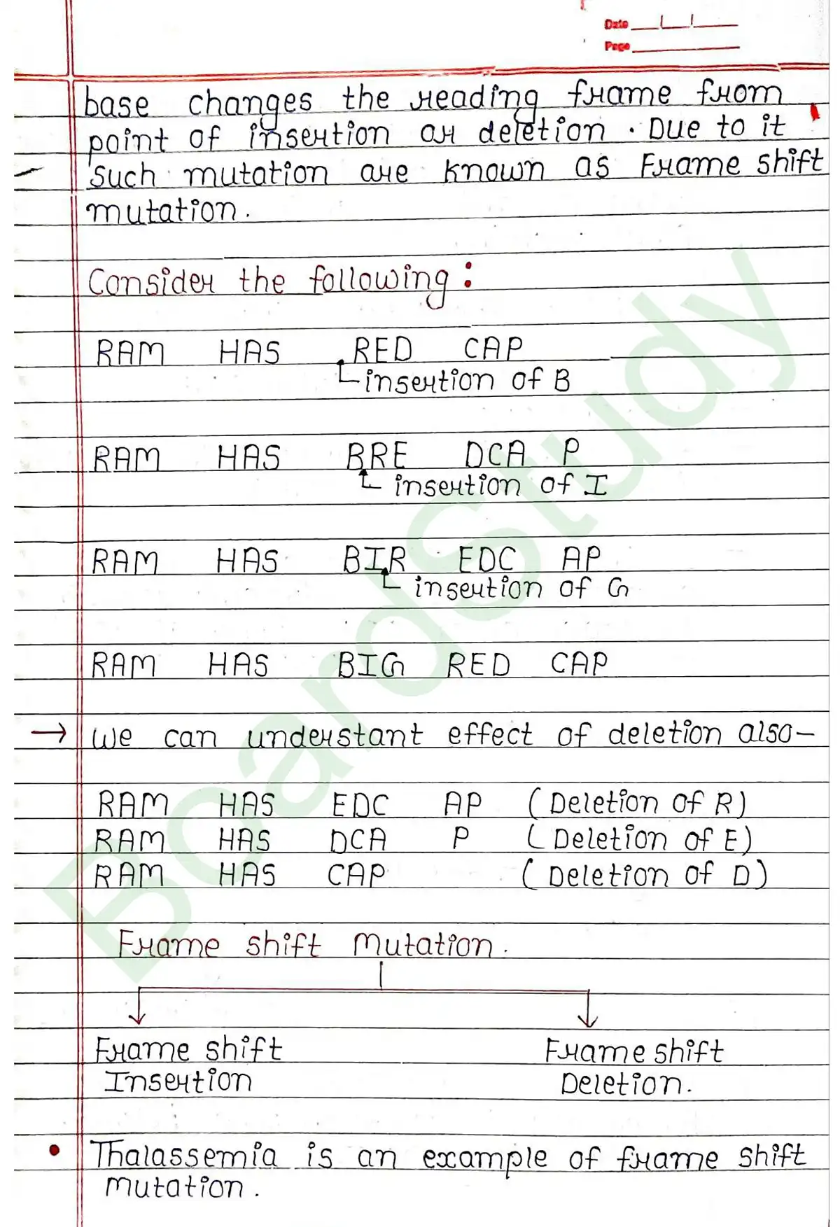 5. Molecular basis of inheritance_page-0037
