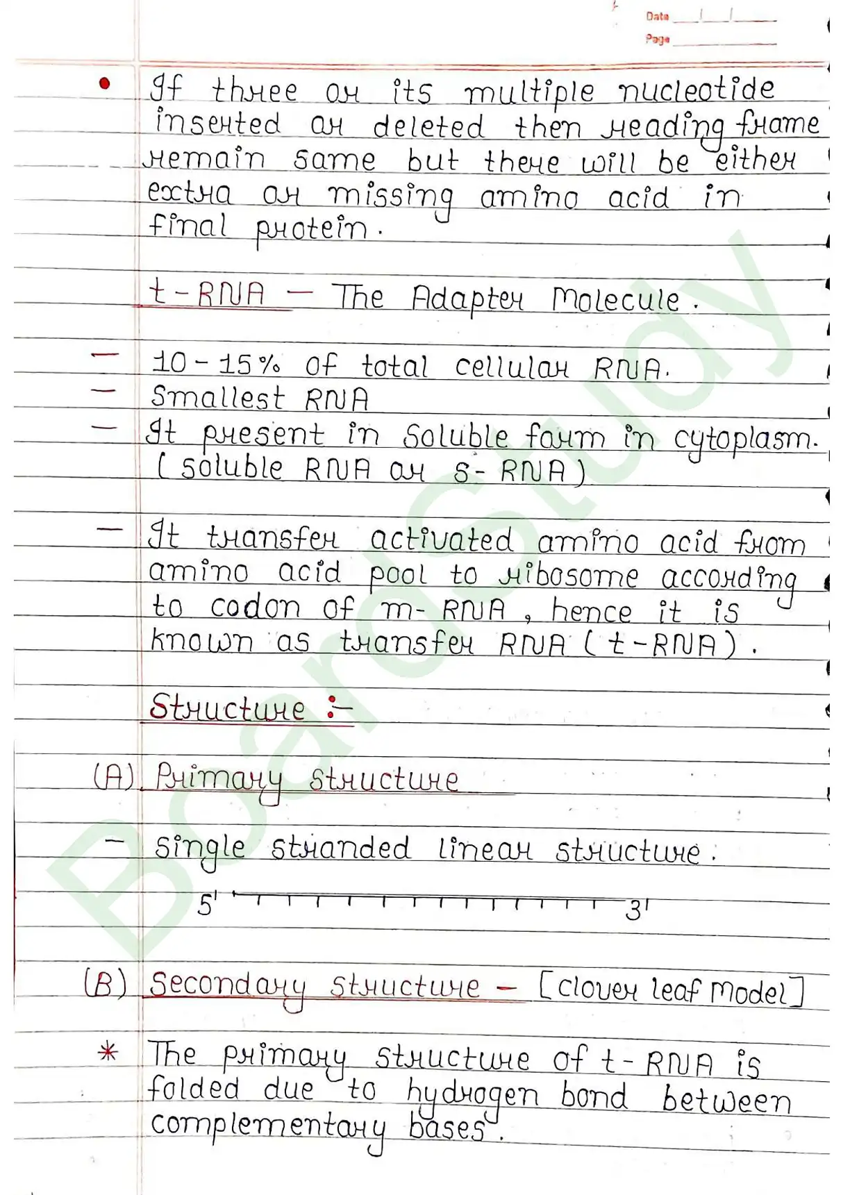 5. Molecular basis of inheritance_page-0038