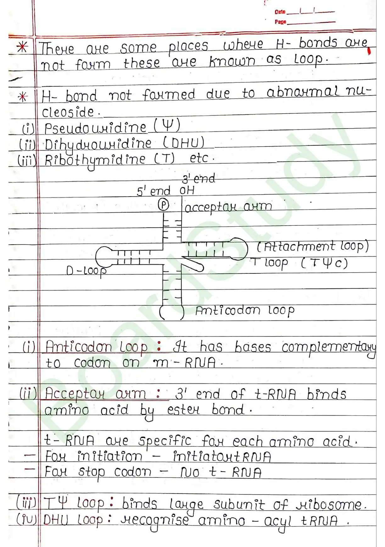 5. Molecular basis of inheritance_page-0039