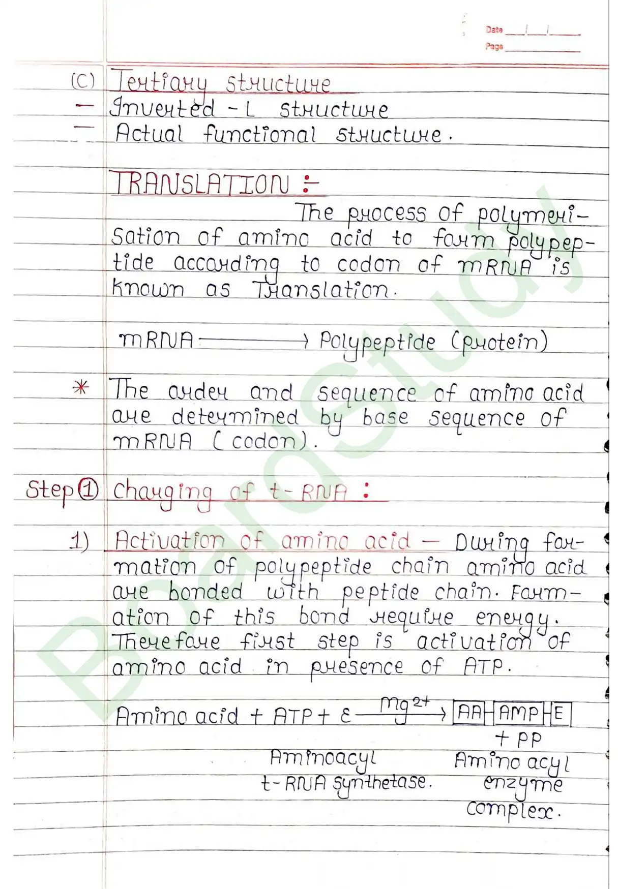 5. Molecular basis of inheritance_page-0040
