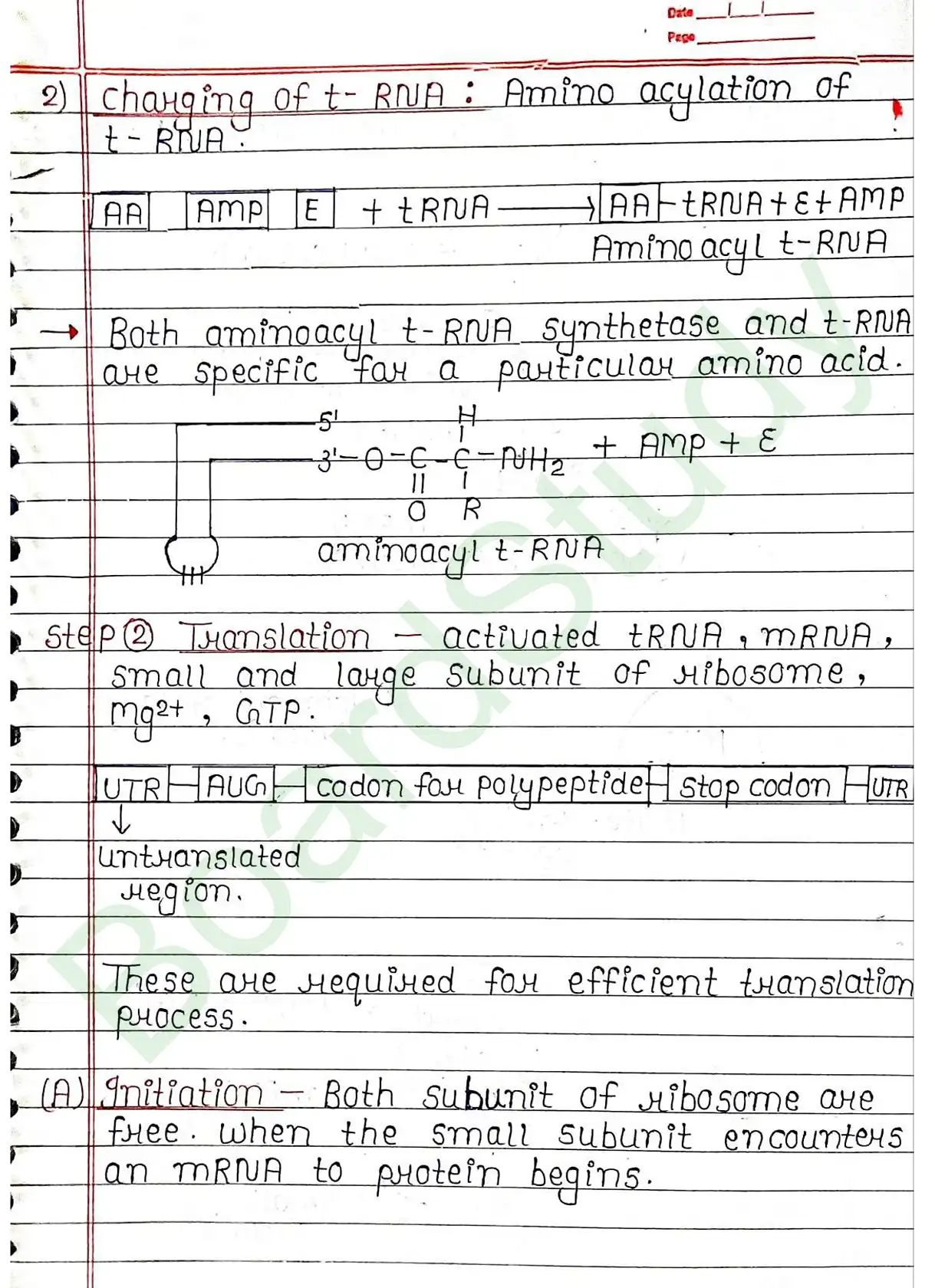 5. Molecular basis of inheritance_page-0041