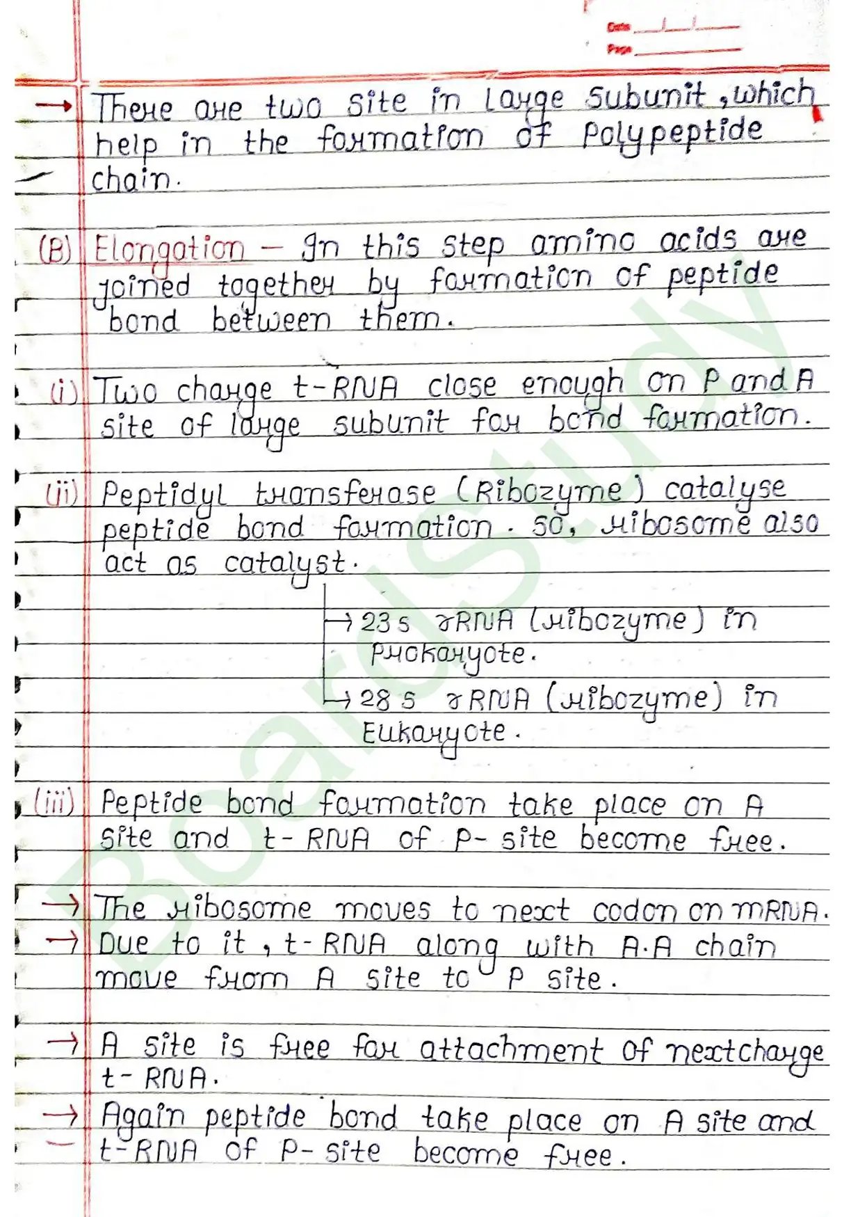 5. Molecular basis of inheritance_page-0043