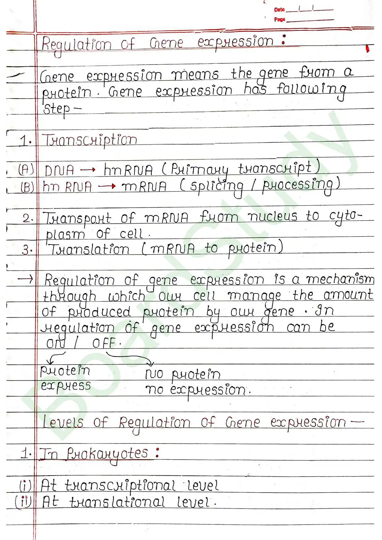 5. Molecular basis of inheritance_page-0045