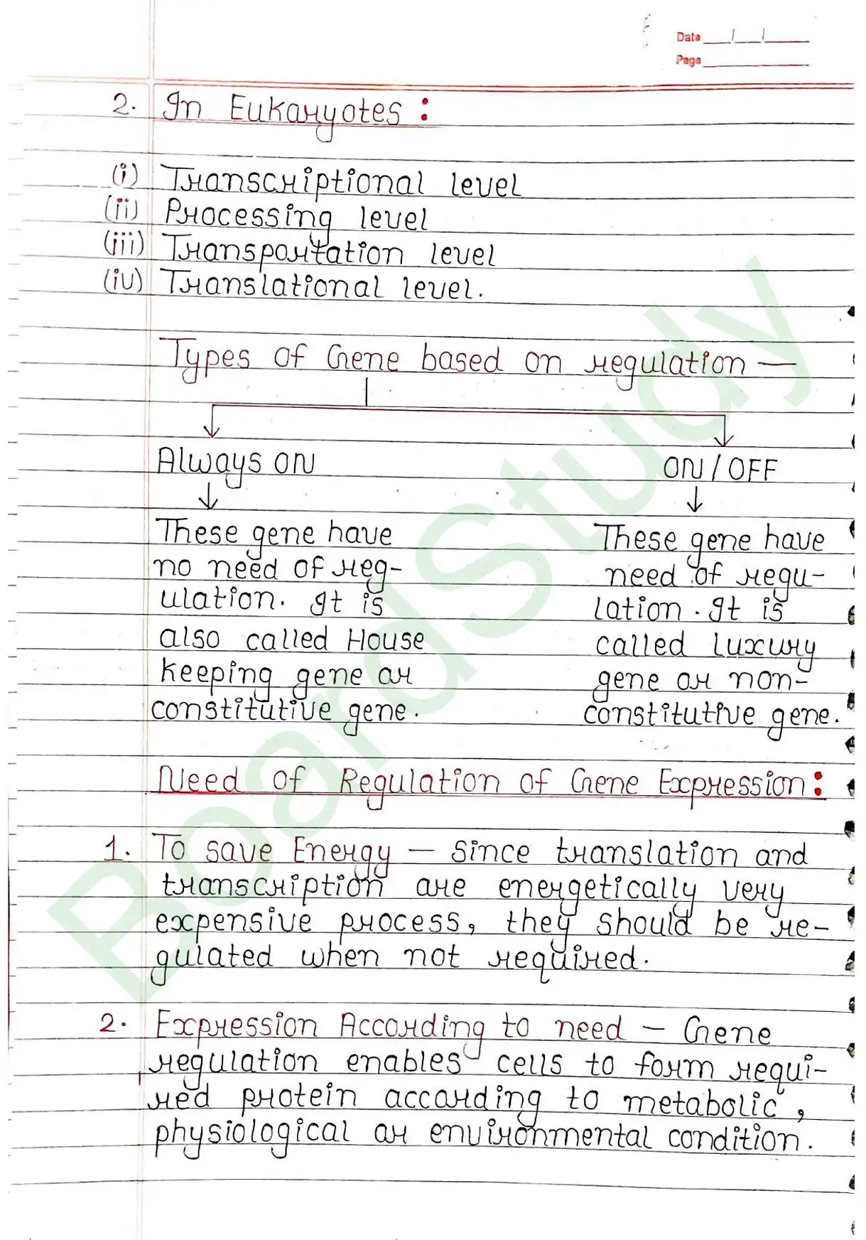 5. Molecular basis of inheritance_page-0046