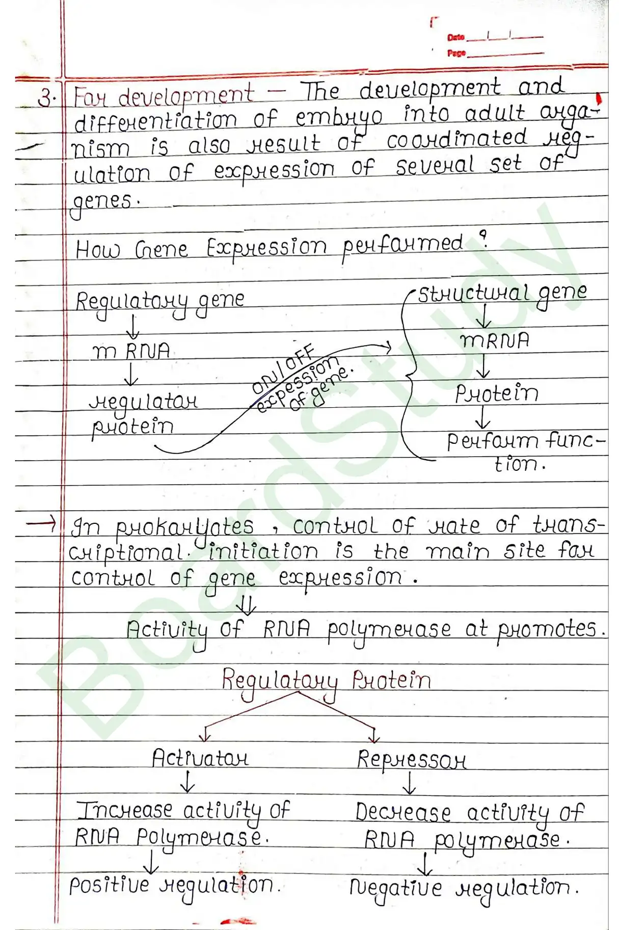 5. Molecular basis of inheritance_page-0047