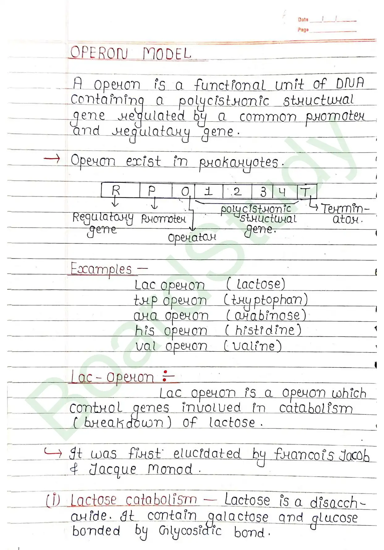 5. Molecular basis of inheritance_page-0048
