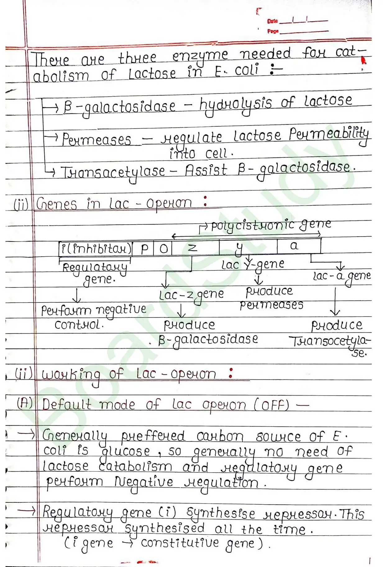 5. Molecular basis of inheritance_page-0049