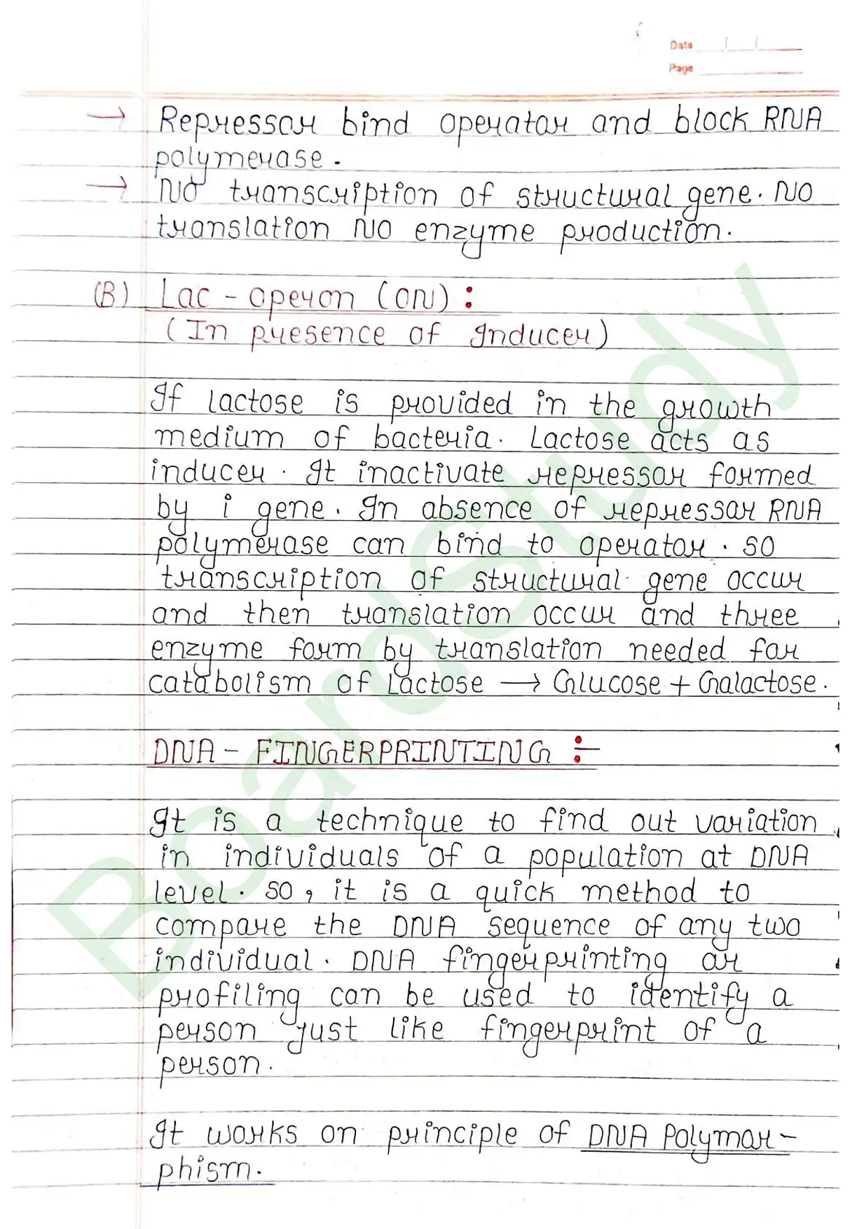 5. Molecular basis of inheritance_page-0050