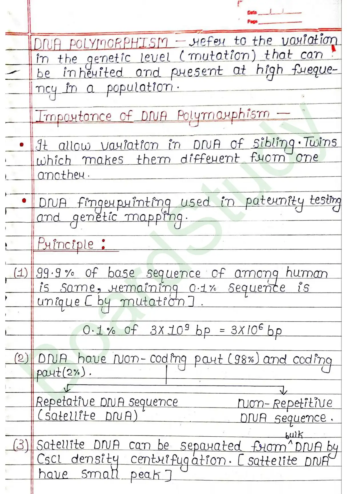 5. Molecular basis of inheritance_page-0051