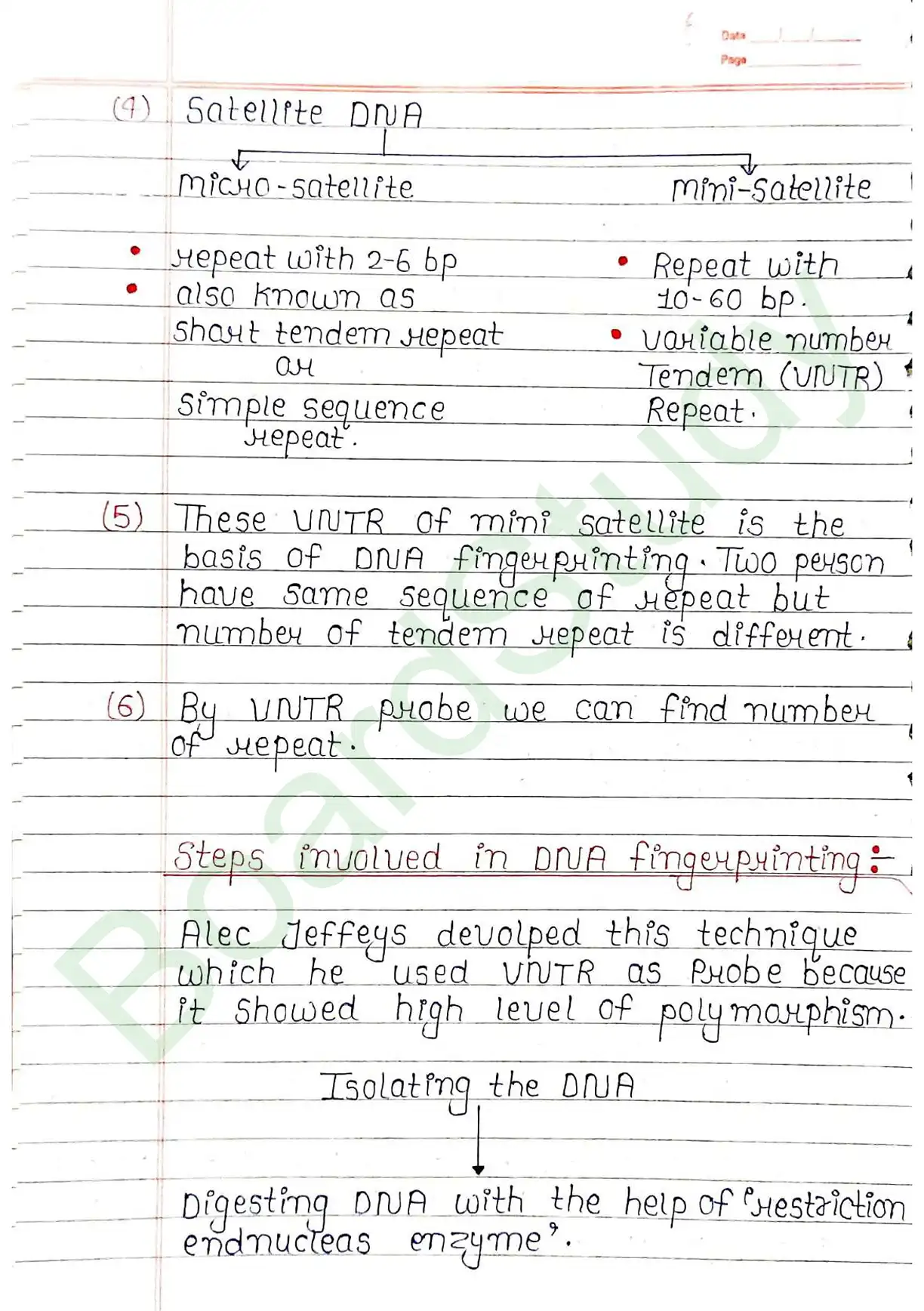5. Molecular basis of inheritance_page-0052