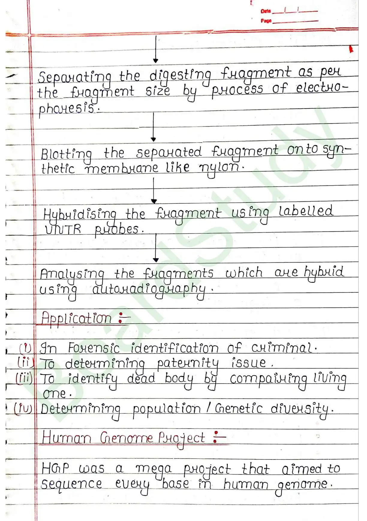 5. Molecular basis of inheritance_page-0053