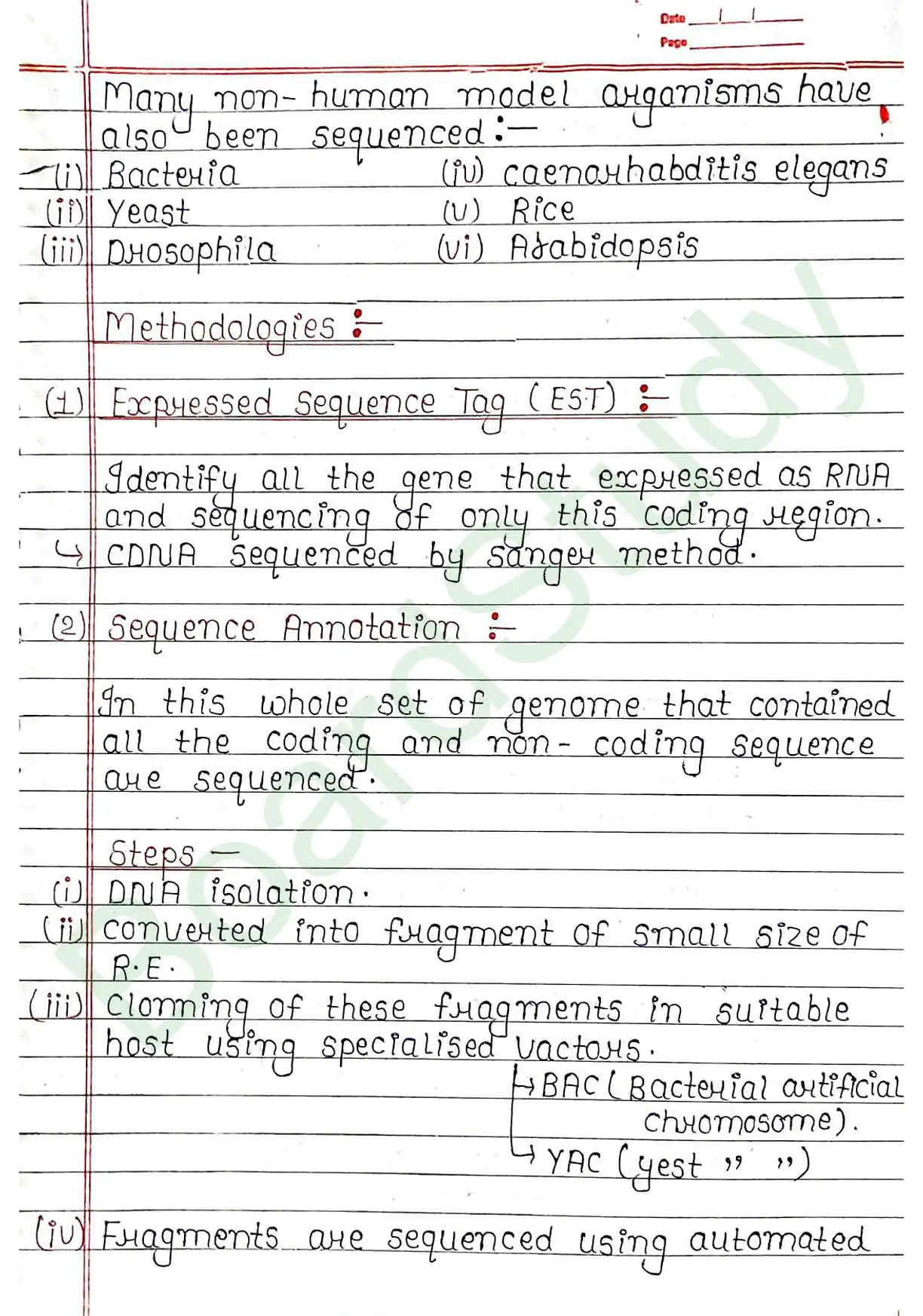 5. Molecular basis of inheritance_page-0055