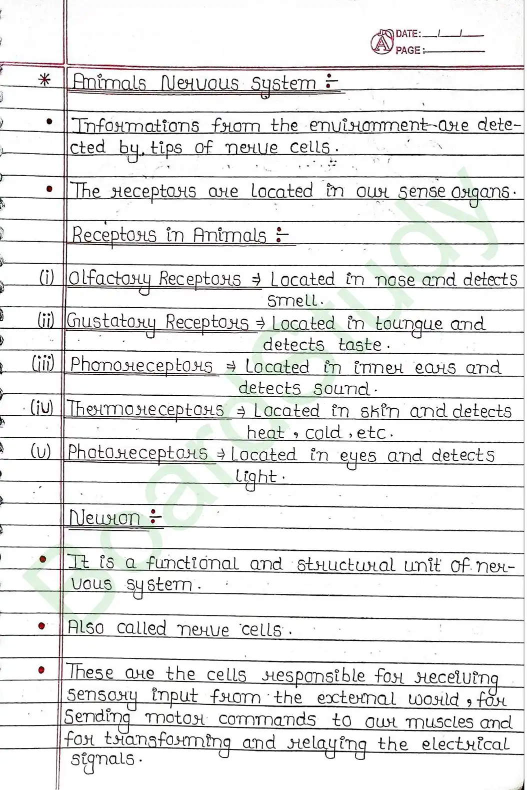 6. Control & Coordination_page-0003