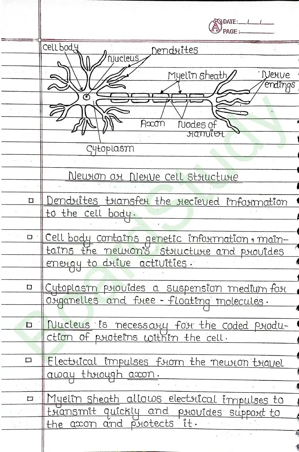 6. Control & Coordination_page-0004