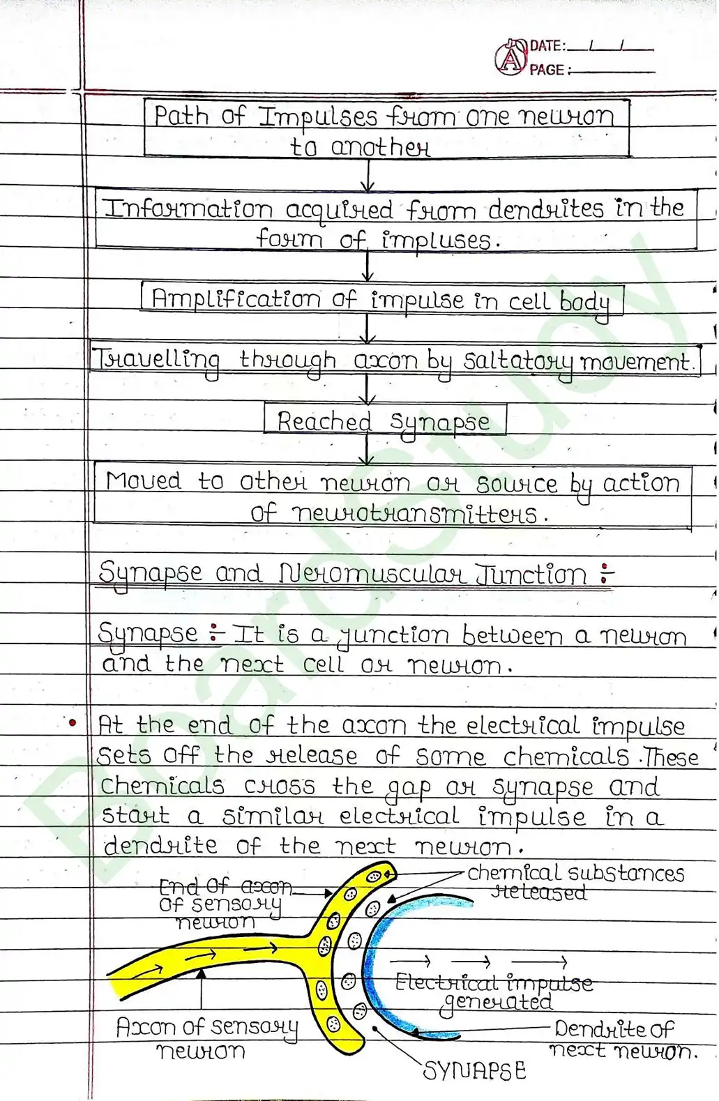 6. Control & Coordination_page-0006