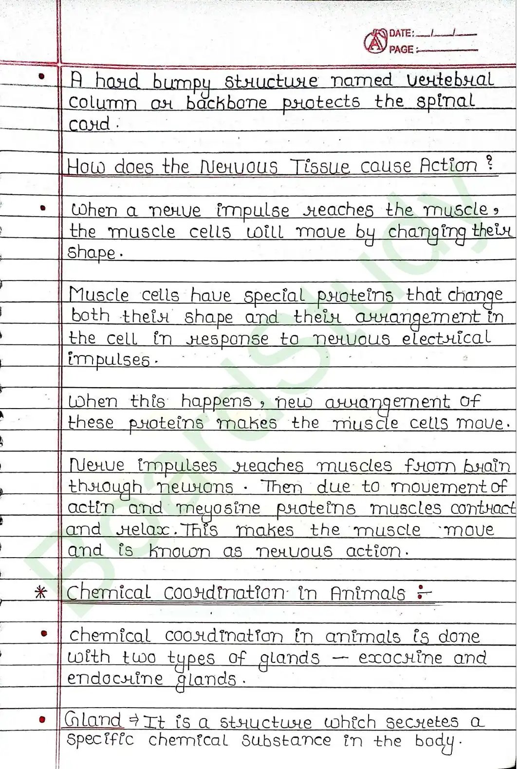 6. Control & Coordination_page-0013