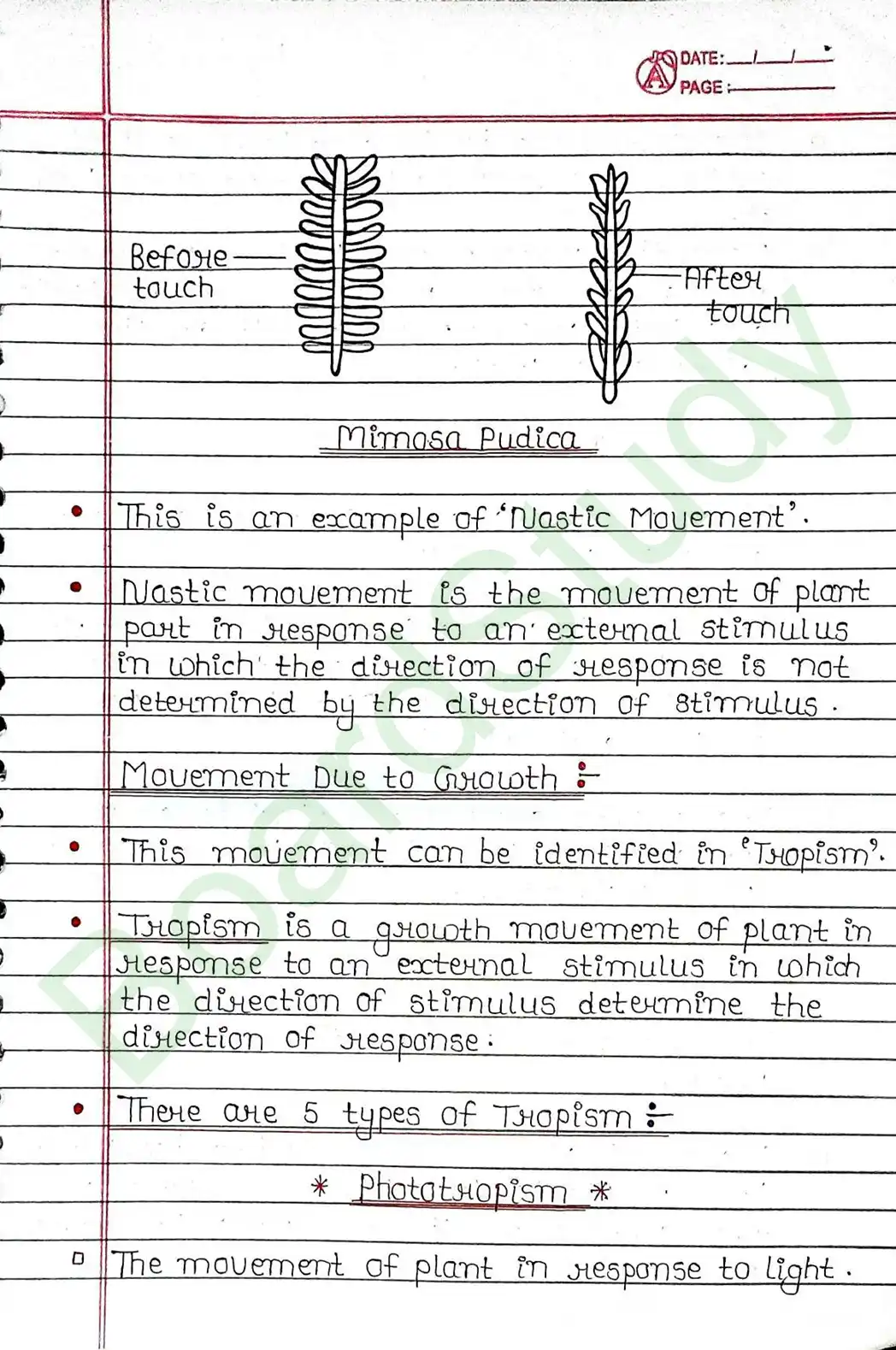 6. Control & Coordination_page-0021