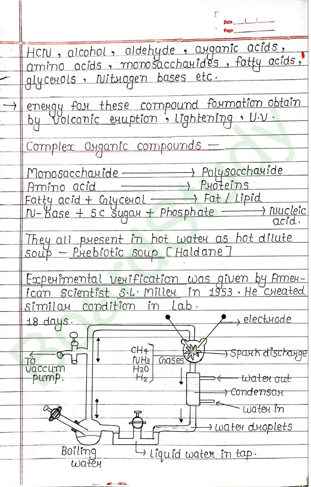 6. Evolution-8_..._page-0006