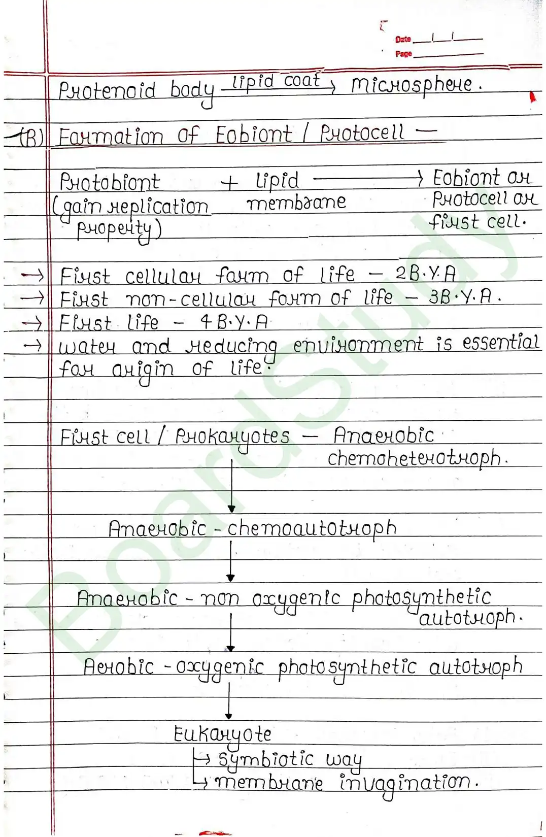 6. Evolution-8_..._page-0008
