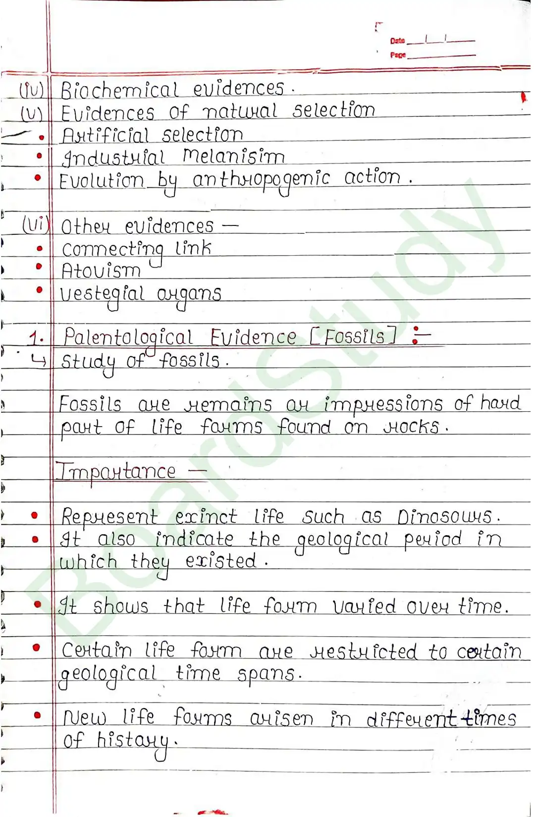 6. Evolution-8_..._page-0010
