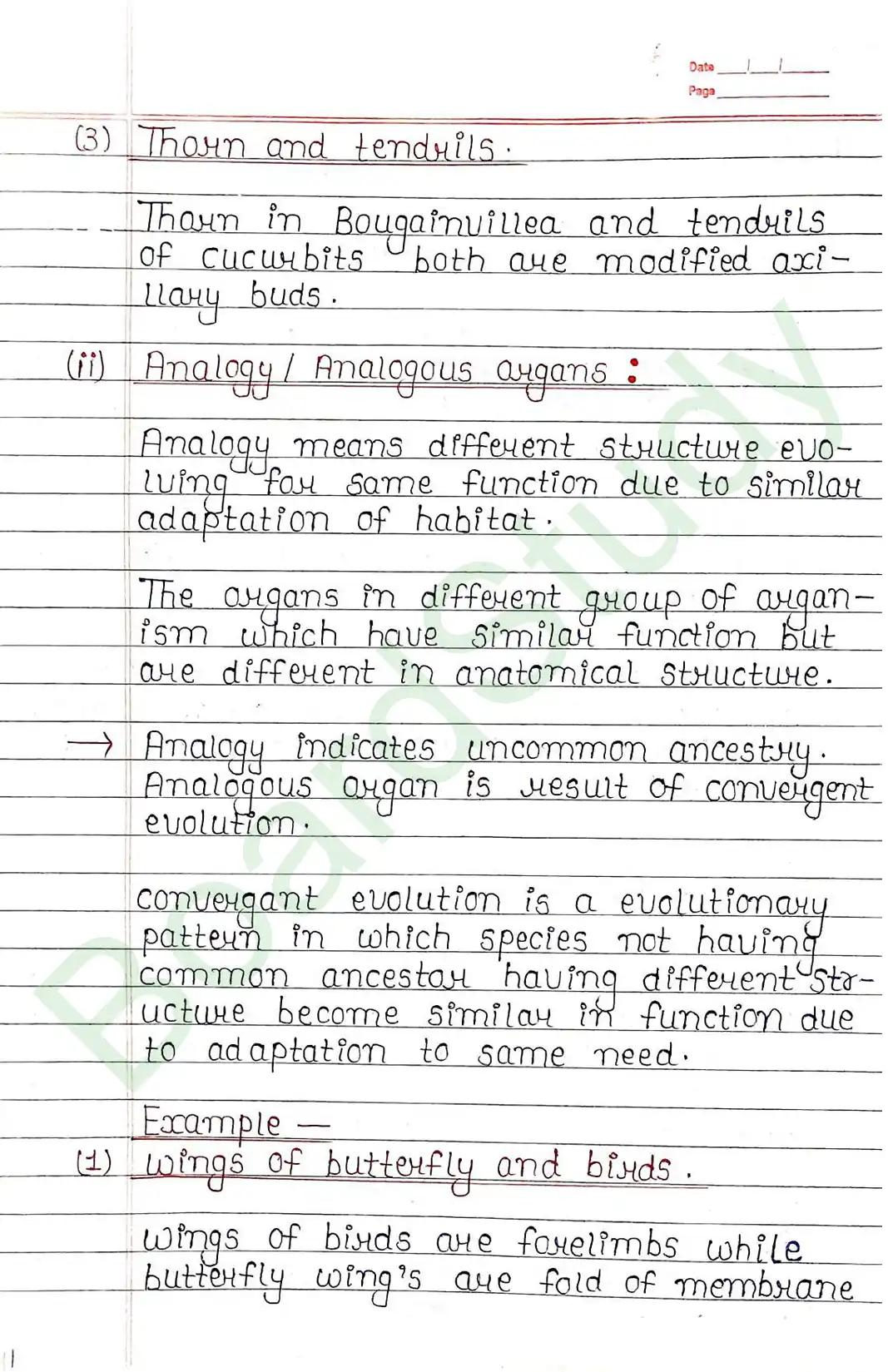 6. Evolution-8_..._page-0013