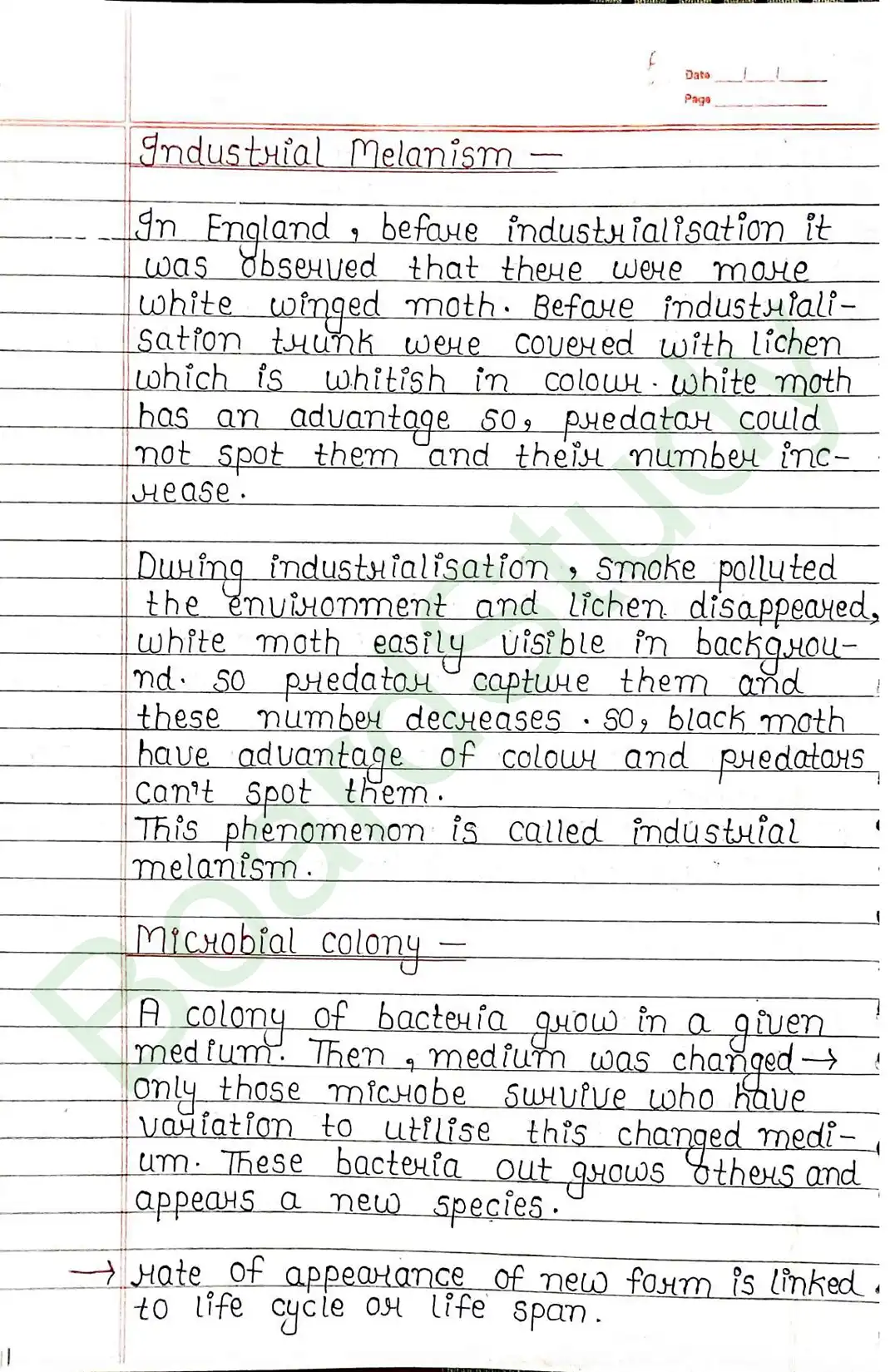 6. Evolution-8_..._page-0021