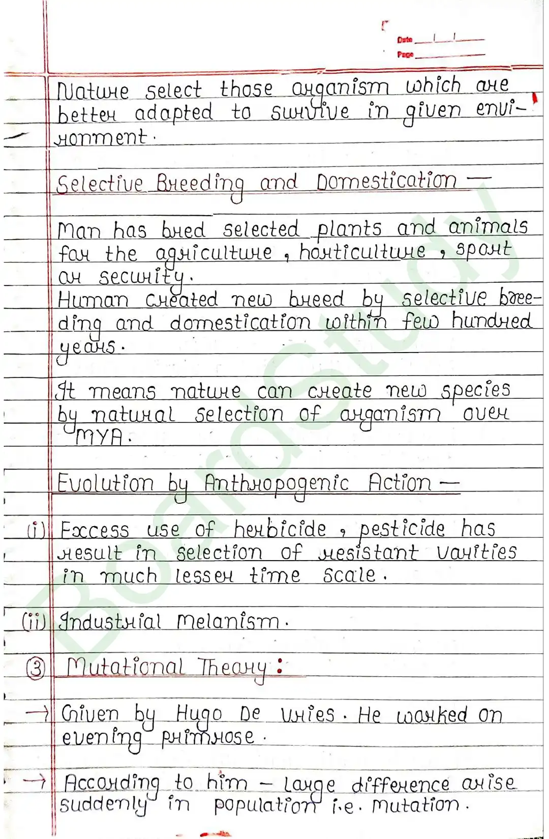 6. Evolution-8_..._page-0022