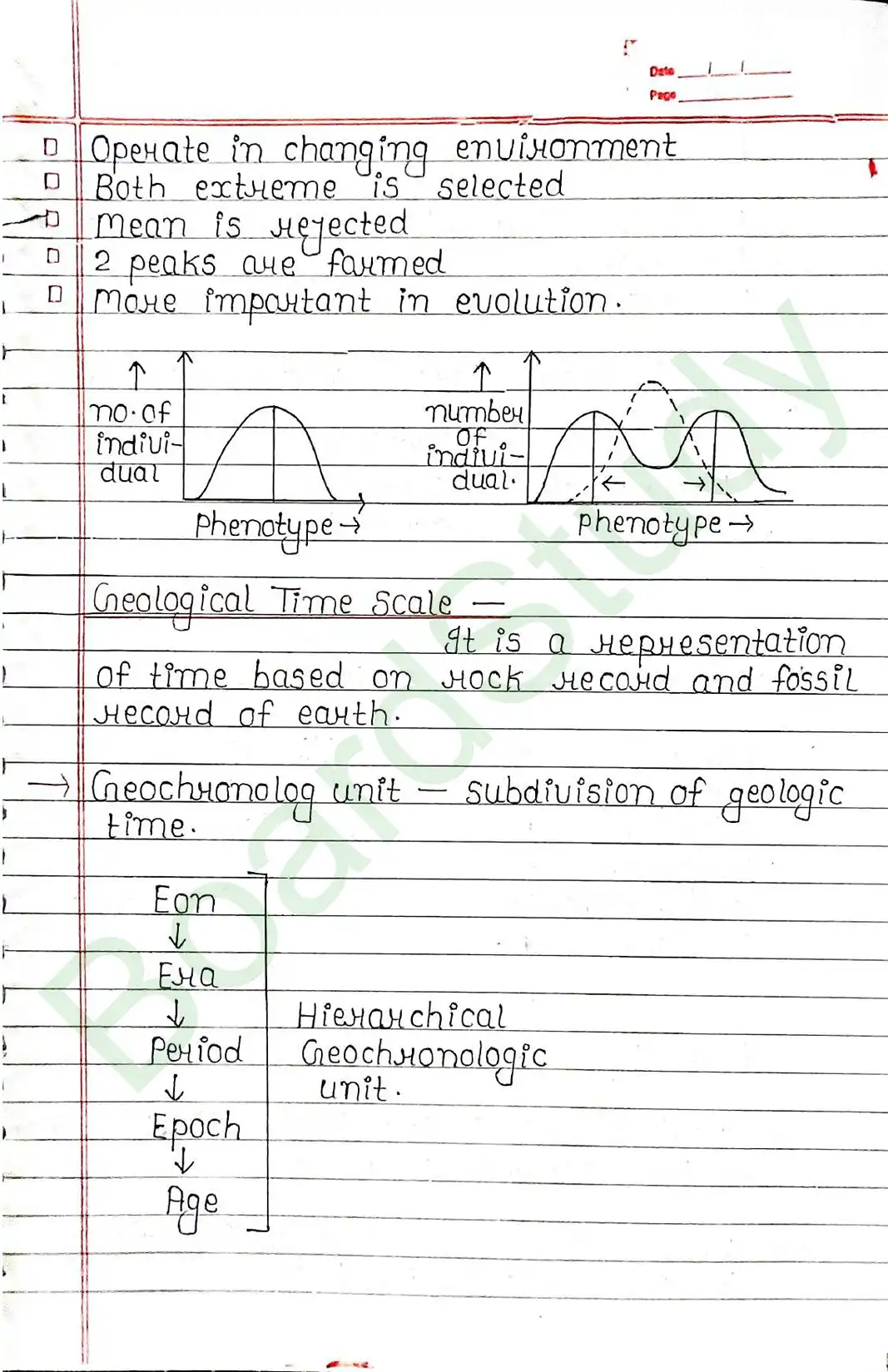 6. Evolution-8_..._page-0030