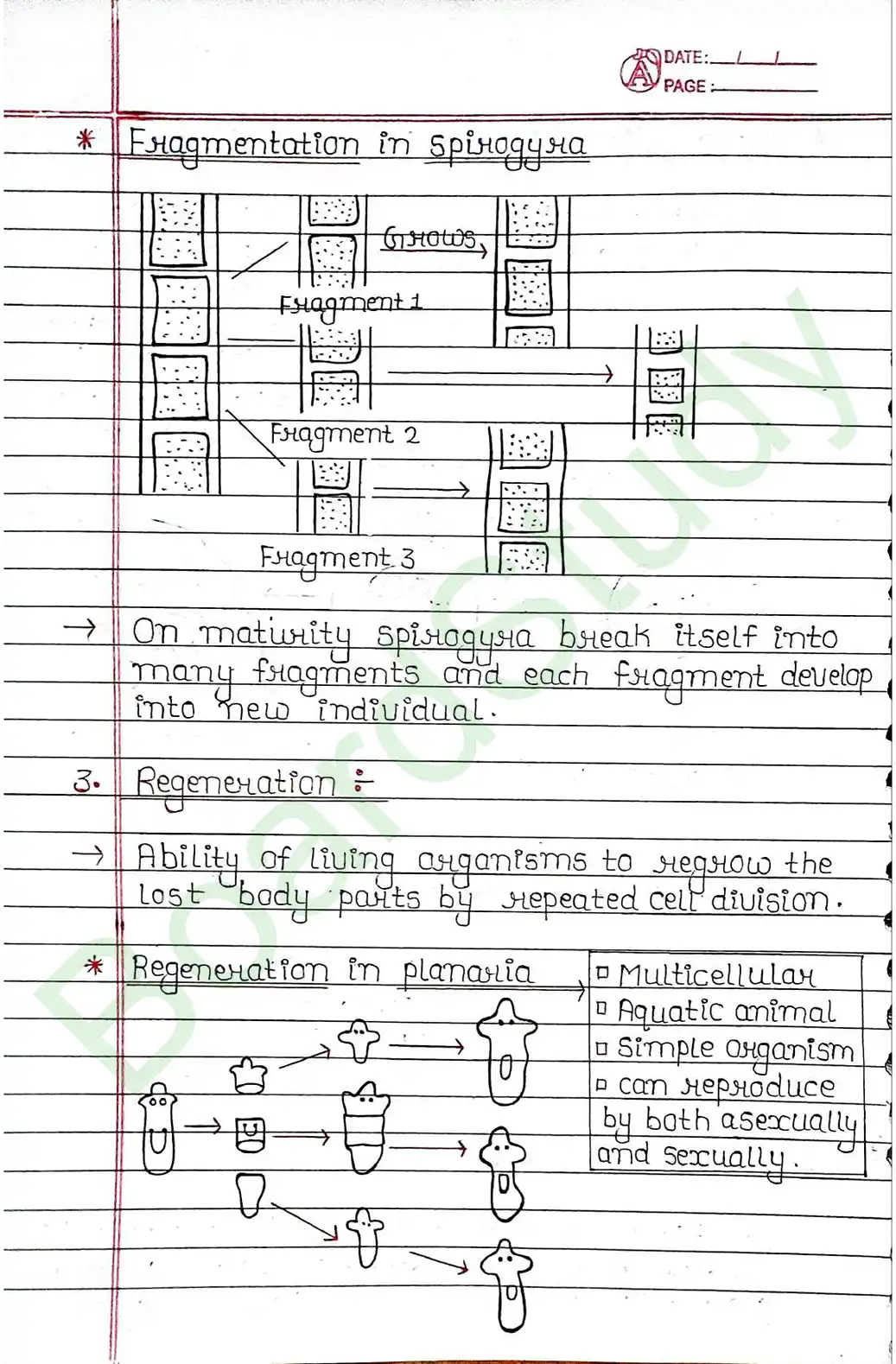 7. How Do Organisms Reproduce_page-0006