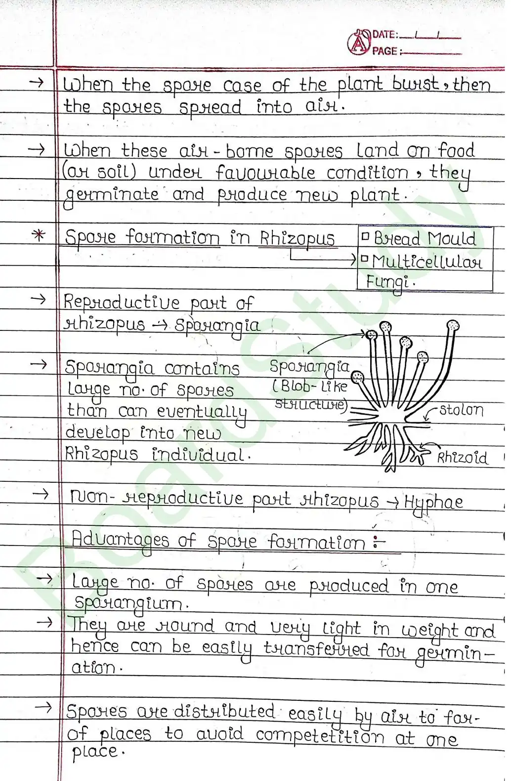 7. How Do Organisms Reproduce_page-0008