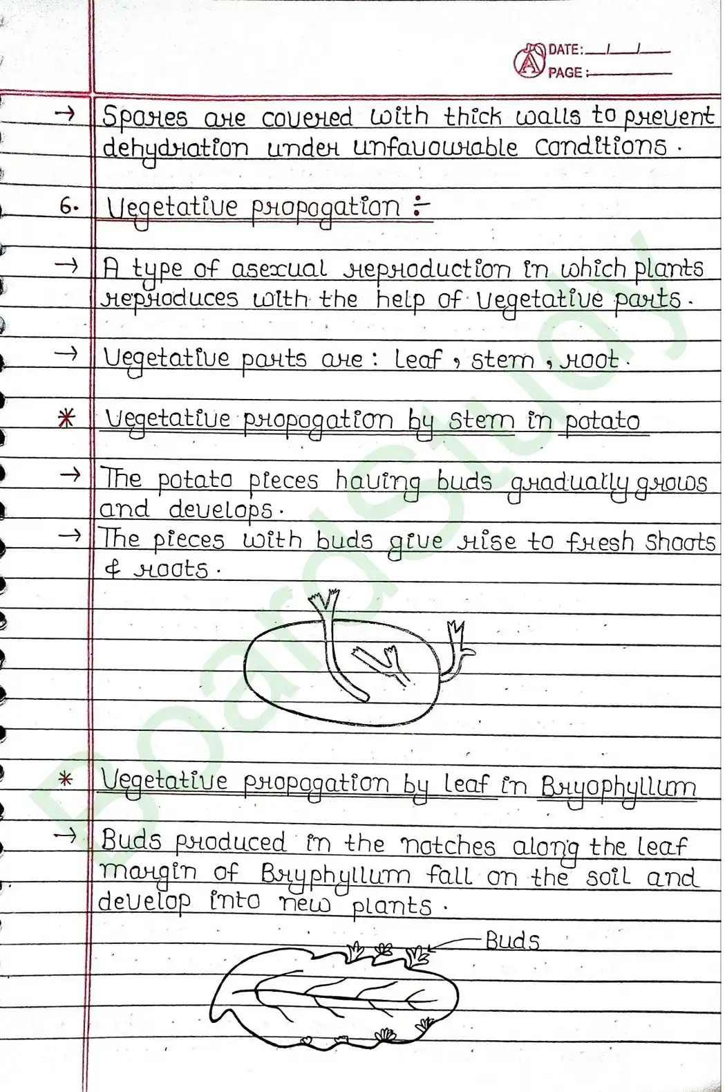 7. How Do Organisms Reproduce_page-0009