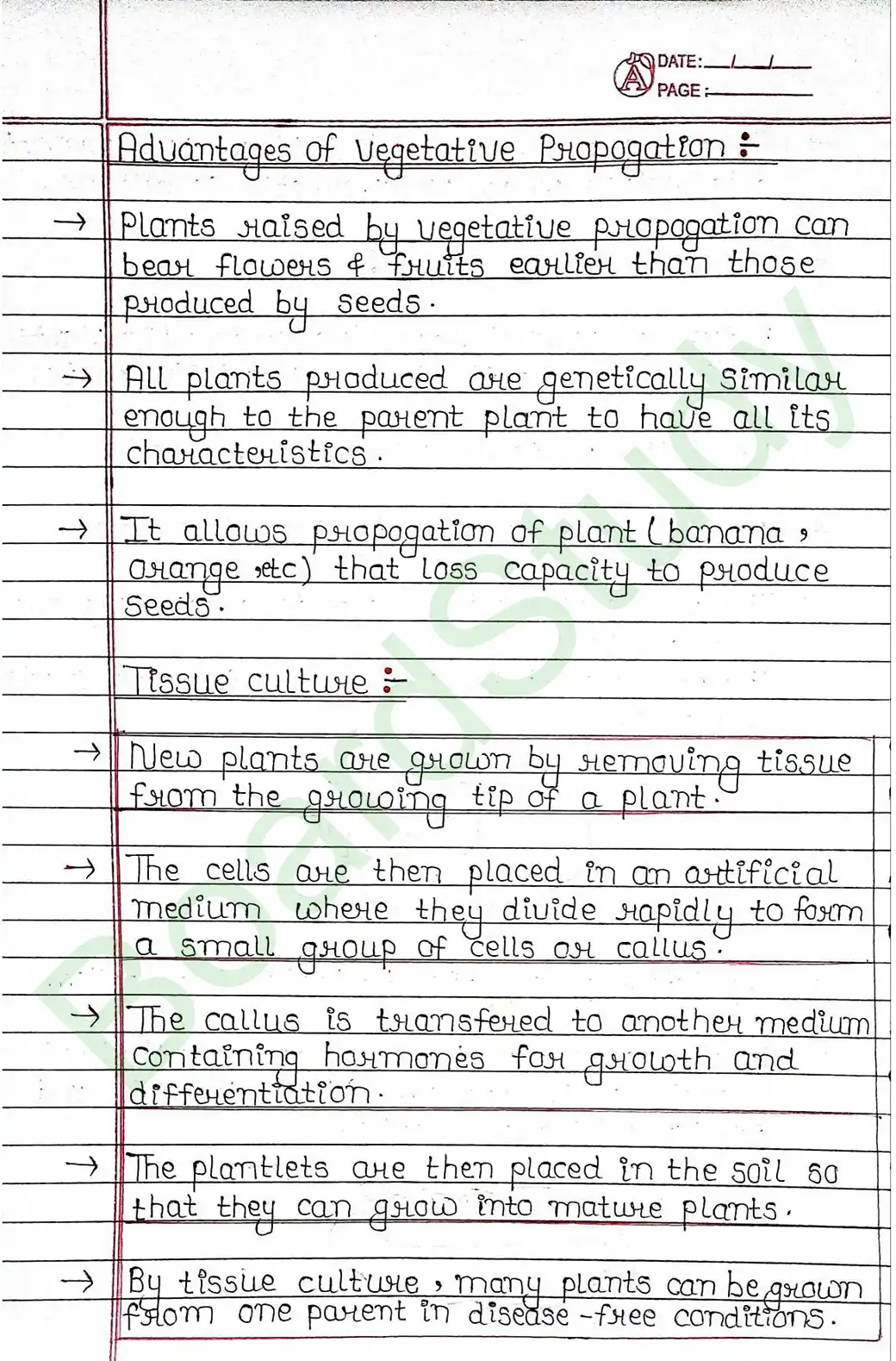 7. How Do Organisms Reproduce_page-0010