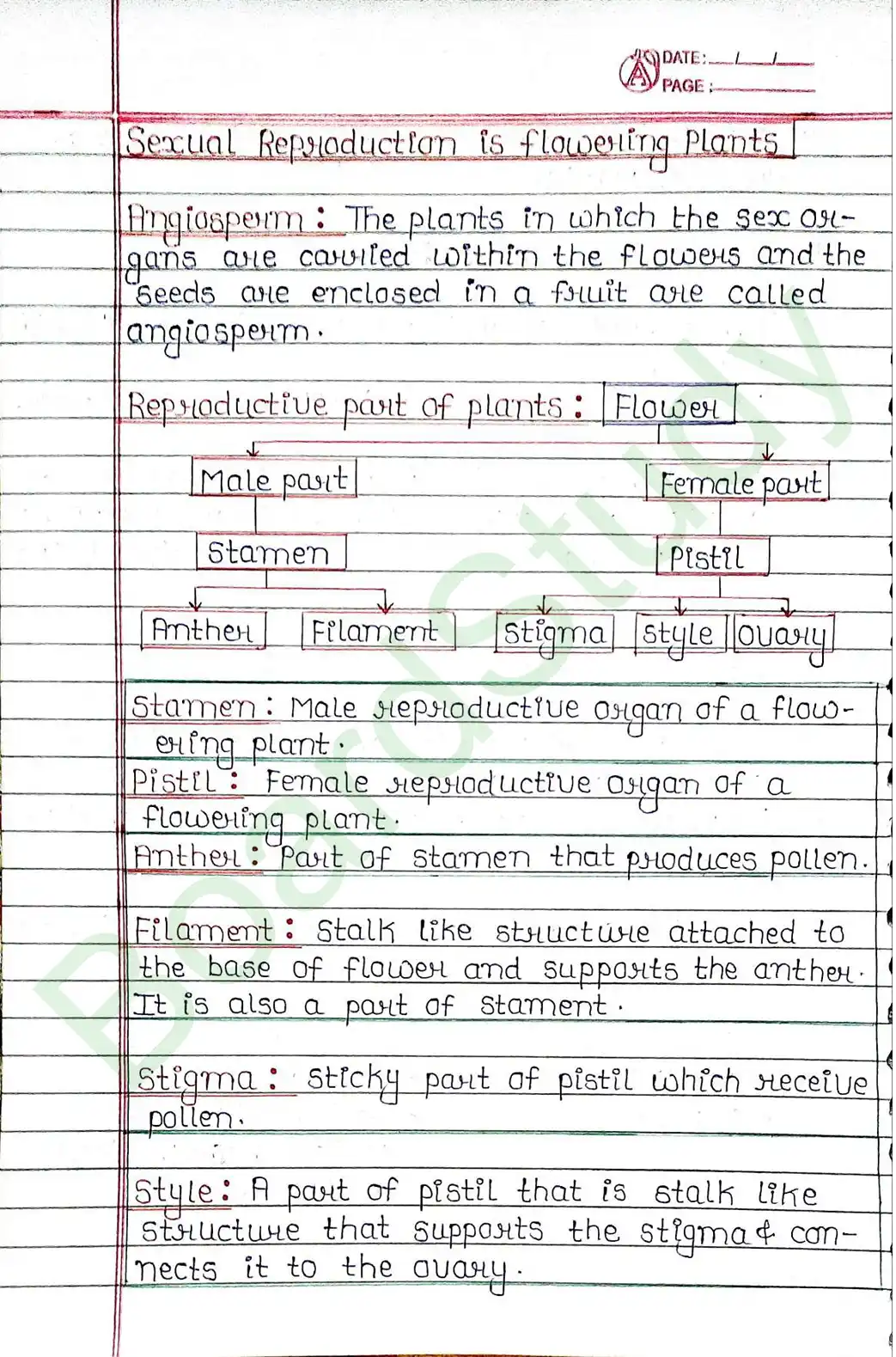 7. How Do Organisms Reproduce_page-0012
