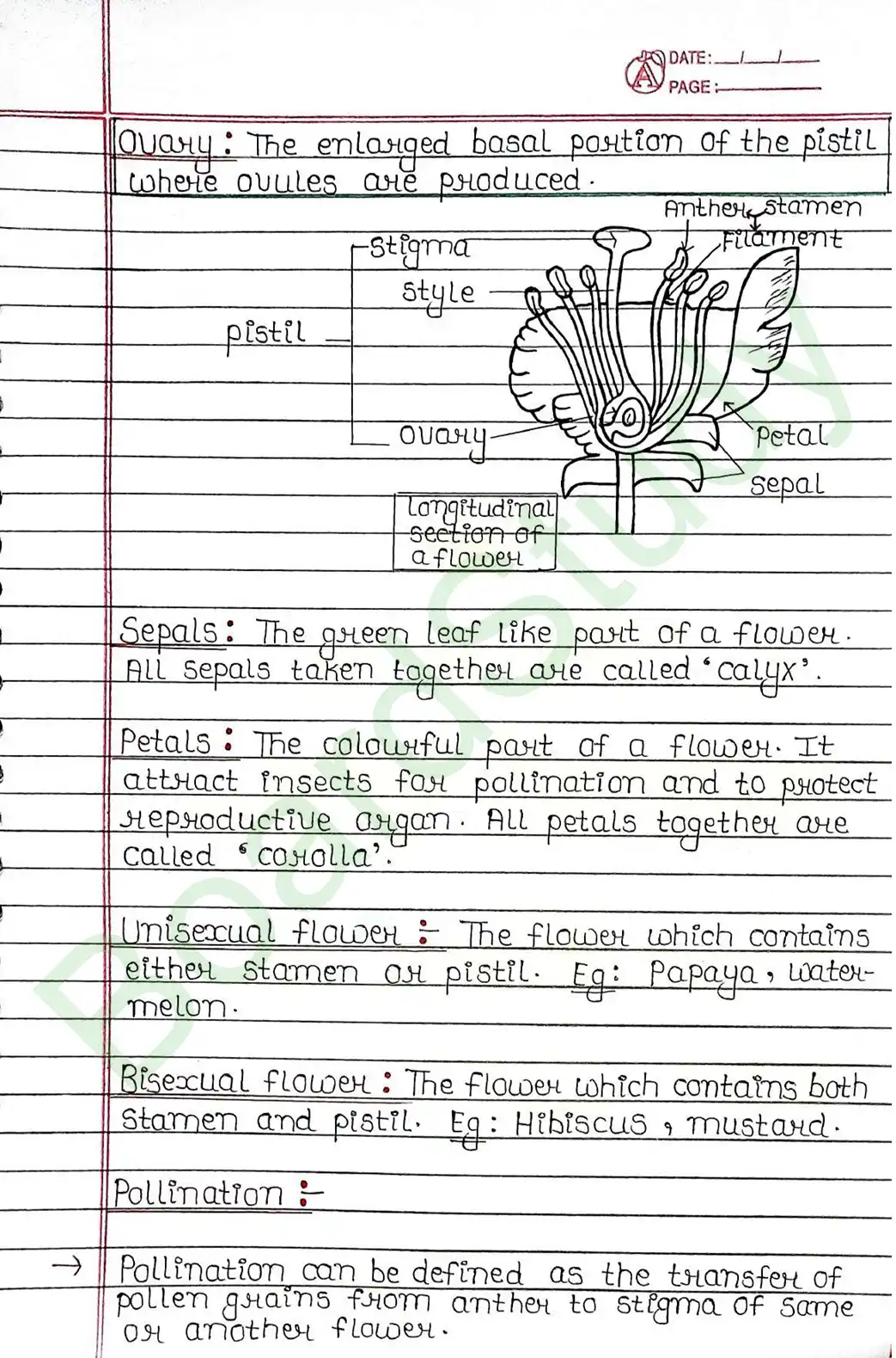 7. How Do Organisms Reproduce_page-0013