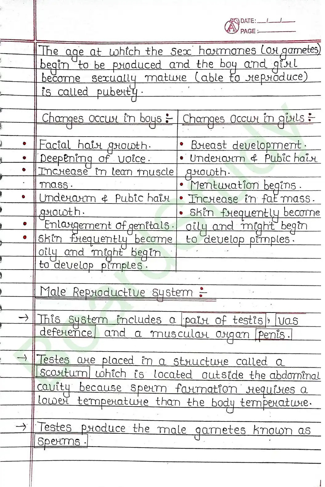 7. How Do Organisms Reproduce_page-0016