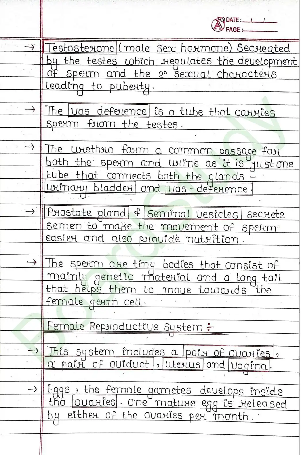 7. How Do Organisms Reproduce_page-0017