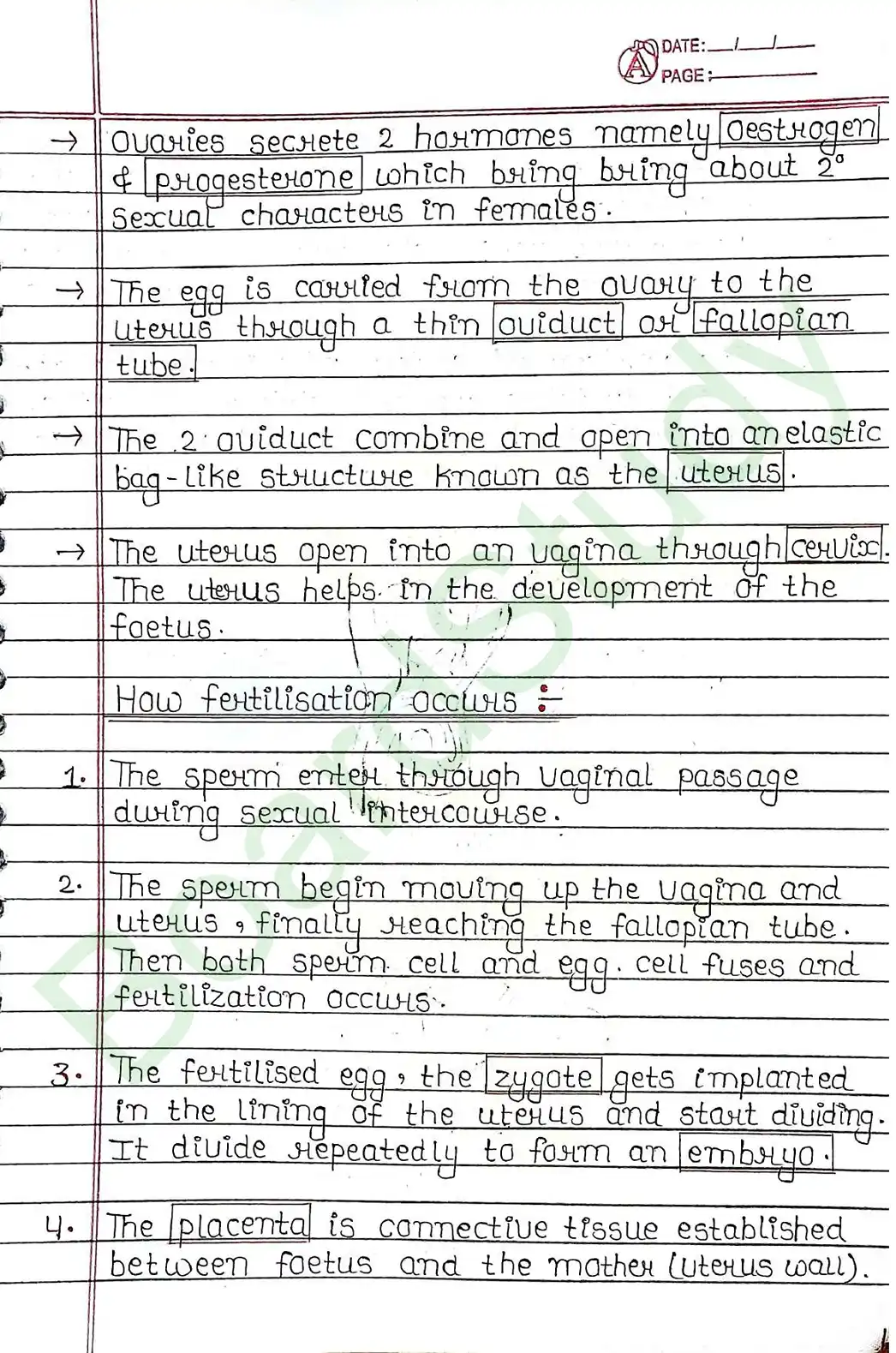 7. How Do Organisms Reproduce_page-0018